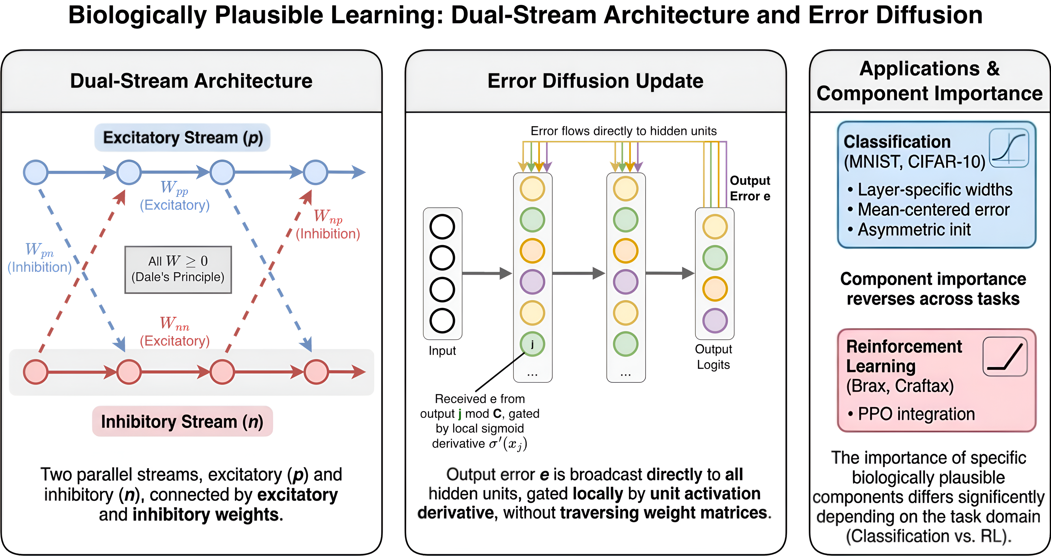 **Figure 1:** Overview of the dual-stream Error Diffusion framework. **Left:** The excitatory/inhibitory architecture maintains separate streams ($\mathbf{p}$, $\mathbf{n}$) with four non-negative weight matrices per layer, enforcing Dale's principle structurally. **Center:** The Error Diffusion update broadcasts output error directly to hidden layers without weight transport or random feedback matrices. **Right:** The shared architecture is applied to classification (with domain-specific sigmoid widths, batch-centered class error, and asymmetric initialization) and reinforcement learning (with PPO integration).