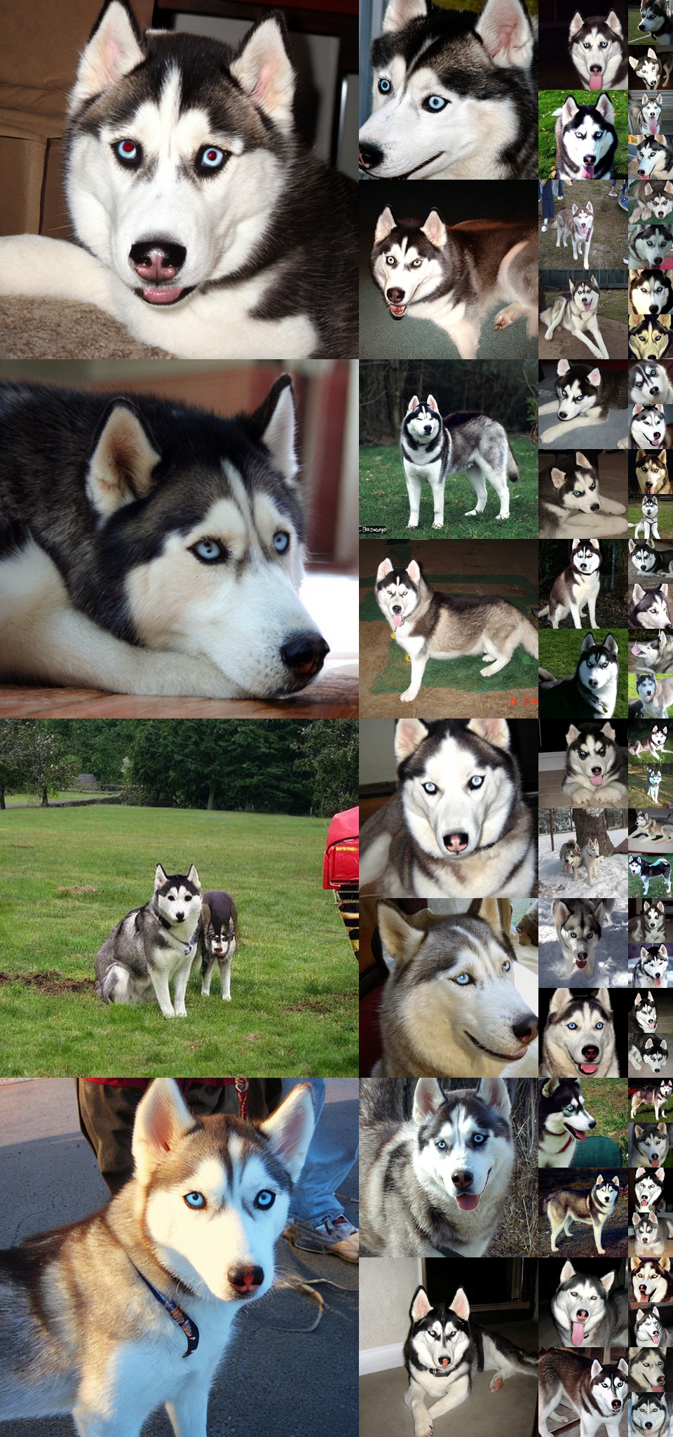 **Figure 16:** **Uncurated $512\times512$ DiT-XL/2 samples.** Classifier-free guidance scale = 4.0 Class label = "husky" (250)