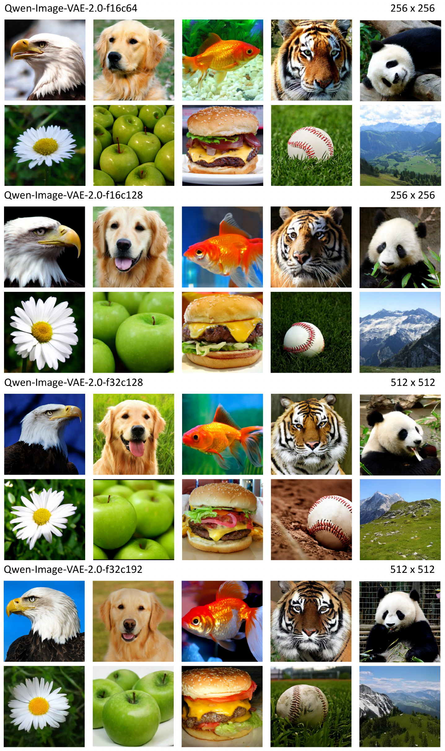 **Figure 4:** Selected image samples generated by SiT on ImageNet with Qwen-Image-VAE-2.0.