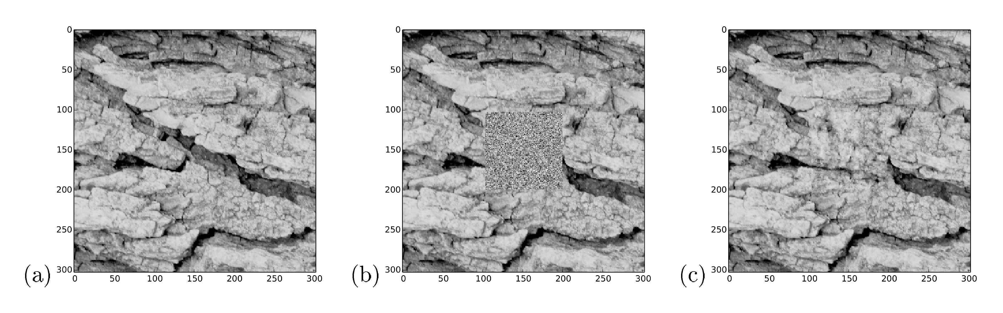 **Figure 5:** Inpainting. *(a)* A bark image from [50]. *(b)* The same image with the central 100 $\times$ 100 pixel region replaced with isotropic Gaussian noise. This is the initialization $\tilde{p}\left(\mathbf x^{(T)} \right)$ for the reverse trajectory. *(c)* The central 100 $\times$ 100 region has been inpainted using a diffusion probabilistic model trained on images of bark, by sampling from the posterior distribution over the missing region conditioned on the rest of the image. Note the long-range spatial structure, for instance in the crack entering on the left side of the inpainted region. The sample from the posterior was generated as described in 2.5, where $r\left(\mathbf x^{(0)} \right)$ was set to a delta function for known data, and a constant for missing data.