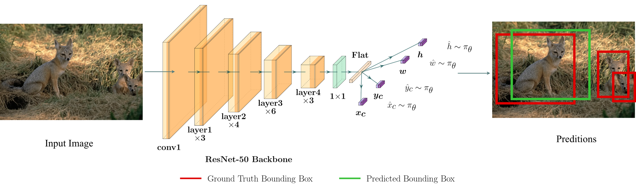 **Figure 4:** **(ImageNet object localization)** An overview of the ImageNet object localization task. A ResNet-50 backbone ([15]) encodes the image, and four categorical heads parameterize the policy. A rollout samples the box center coordinates $\hat{x}_c, \hat{y}_c$, width $\hat{w}$, and height $\hat{h}$. The sampled box is rewarded by its IoU with the matched ground-truth box.