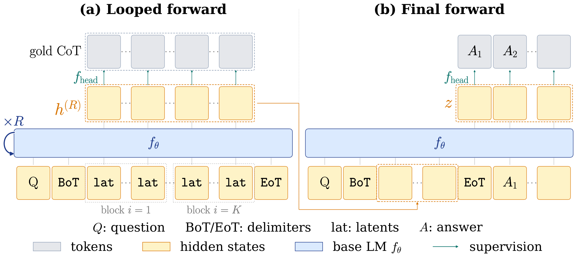 **Figure 2:** LOTUS architecture. (a) Looped forward: the looped LM ${f_{{{{\boldsymbol{\theta}}}}}}$ is iterated ${R}$ times over $[{\langle\texttt{BoT}\rangle}, {\langle\texttt{lat}\rangle}\!\cdot s\! {\langle\texttt{lat}\rangle}, {\langle\texttt{EoT}\rangle}]$, producing post-loop hidden states ${{{\bm{h}}}^{(R)}}$ at the latent positions, and ${\mathcal{L}_{\mathrm{step}}}$ supervises these states through the LM head, in parallel, against the corresponding CoT tokens $T_{i, j}$. (b) Final forward: the post-loop latents ${{{\bm{h}}}^{(R)}}$ are inserted at the latent positions and the answer suffix ${{A}}$ is supervised by next-token prediction (${\mathcal{L}_{\mathrm{ans}}}$) through the LM head.