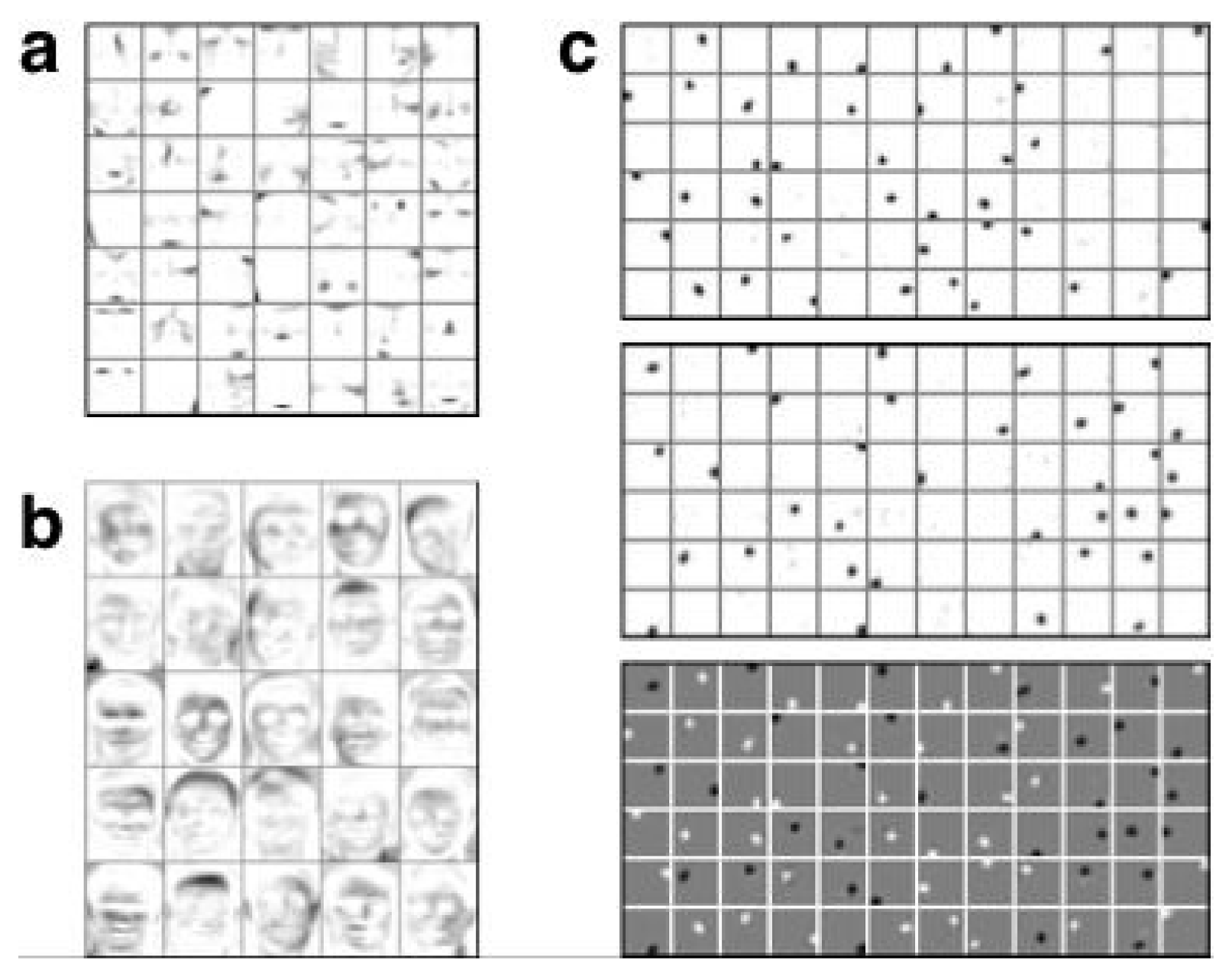 **Figure 1:** NMF applied to various image datasets. **(a)** Basis images given by NMF applied to face image data from the CBCL database [12], following [2]. In this case NMF produces a parts-based representation of the data. **(b)** Basis images derived from the ORL face image database [13], following [7]. Here, the NMF representation is global rather than parts-based. **(c)** Basis vectors from NMF applied to ON/OFF-contrast filtered natural image data [14]. Top: Weights for the ON-channel. Each patch represents the part of one basis vector ${\bf w}_i$ corresponding to the ON-channel. (White pixels denote zero weight, darker pixels are positive weights.) Middle: Corresponding weights for the OFF-channel. Bottom: Weights for ON minus weights for OFF. (Here, gray pixels denote zero.) Note that NMF represents this natural image data using circularly symmetric features.