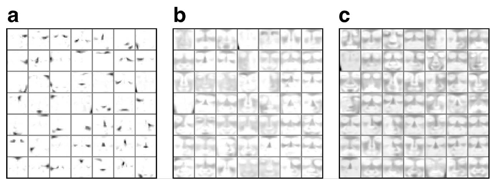 **Figure 3:** Features learned from the CBCL face image database using NMF with sparseness constraints. **(a)** The sparseness of the basis images were fixed to 0.8, slightly higher than the average sparseness produced by standard NMF, yielding a similar result. The sparseness of the coefficients was unconstrained. **(b)** Here, we switched the sparseness constraints such that the coefficients were constrained to 0.8 but the basis images were unconstrained. Note that this creates a global representation similar to that given by vector quantization [2]. **(c)** Illustration of another way to obtain a global representation: setting the sparseness of the basis images to a low value (here: 0.2) also yields a non-local representation.