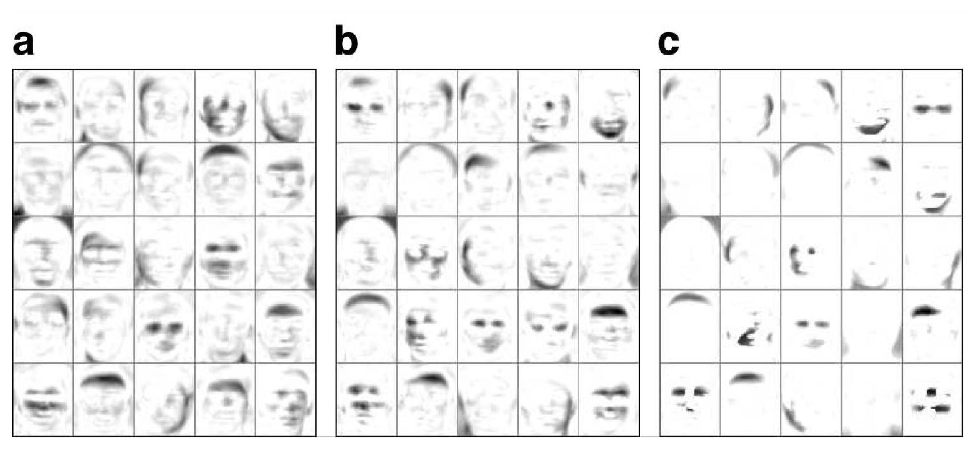 **Figure 4:** Features learned from the ORL face image database using NMF with sparseness constraints. When increasing the sparseness of the basis images, the representation switches from a global one (like the one given by standard NMF, cf Figure 1 b) to a local one. Sparseness levels were set to **(a)** 0.5 **(b)** 0.6 **(c)** 0.75.