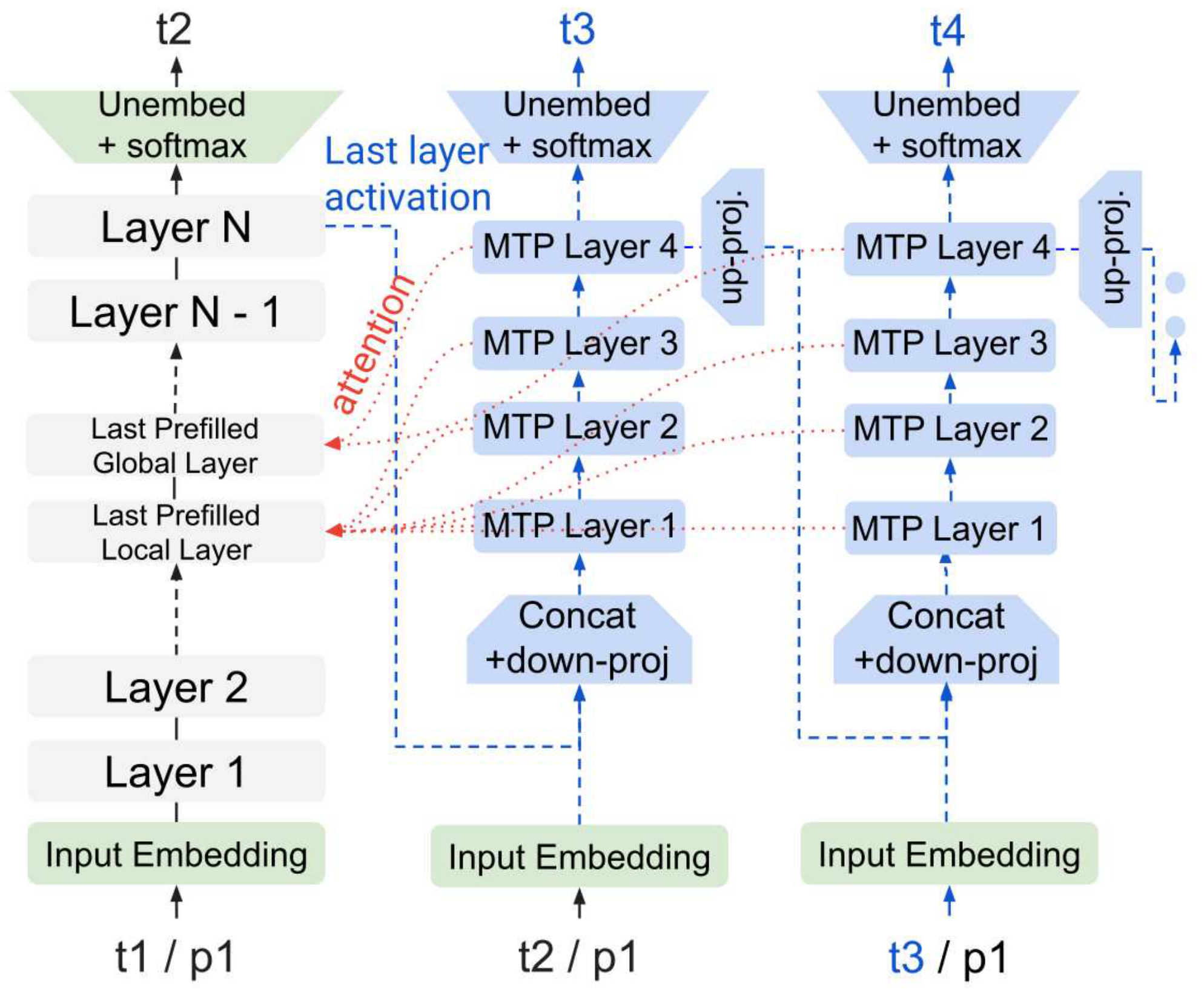 **Figure 1:** The autoregressive MTP drafter (blue blocks on the right) is fed activations and KV cache from the main model (gray blocks).