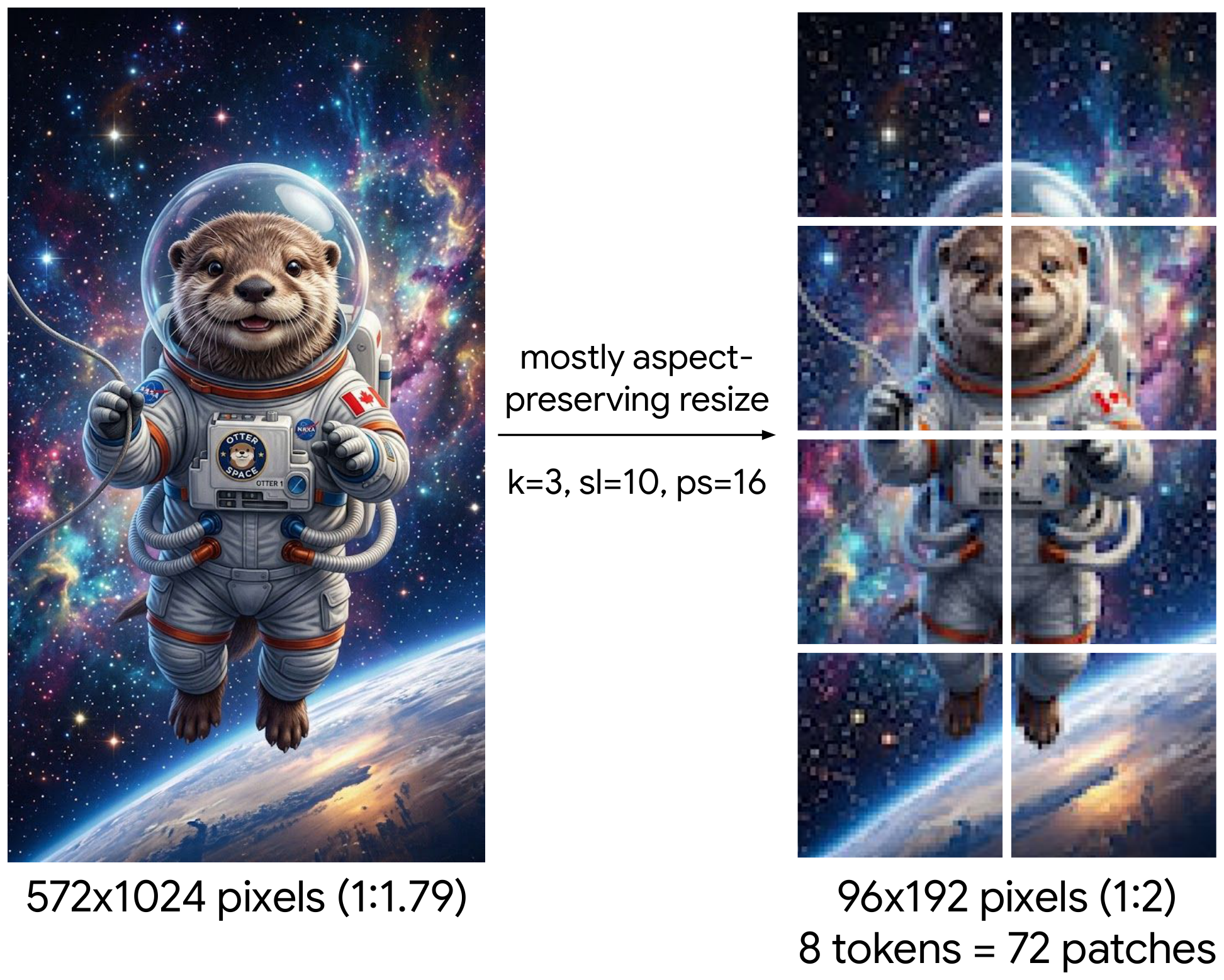 **Figure 2:** Image resizing. Here we use `patch_size=16`, `pooling_kernel_size=3`, `max_soft_tokens=10`. The image is thus first resized to 2 $\times$ 4 pooled patches (each of size $48\text{px}^2$), which is the closest match that results in a sequence length below the targeted 10. The 72 patches (each of size $16\text{px}^2$) are then processed by the vision encoder, the vision encoder representations are pooled $3\times3$, and the resulting 8 soft tokens are processed by the LLM backbone.