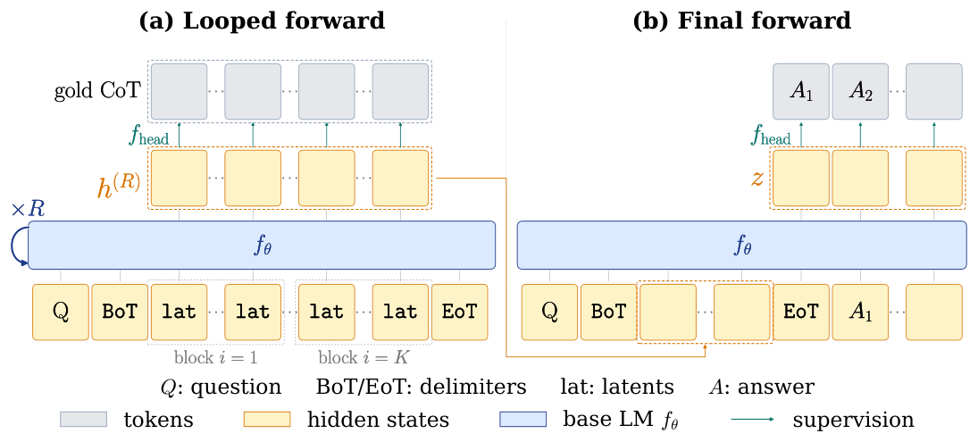**Figure 2:** LOTUS architecture. (a) Looped forward: the looped LM ${f_{{{{\boldsymbol{\theta}}}}}}$ is iterated ${R}$ times over $[{\langle\texttt{BoT}\rangle}, {\langle\texttt{lat}\rangle}\!\cdot s\! {\langle\texttt{lat}\rangle}, {\langle\texttt{EoT}\rangle}]$, producing post-loop hidden states ${{{\bm{h}}}^{(R)}}$ at the latent positions, and ${\mathcal{L}_{\mathrm{step}}}$ supervises these states through the LM head, in parallel, against the corresponding CoT tokens $T_{i, j}$. (b) Final forward: the post-loop latents ${{{\bm{h}}}^{(R)}}$ are inserted at the latent positions and the answer suffix ${{A}}$ is supervised by next-token prediction (${\mathcal{L}_{\mathrm{ans}}}$) through the LM head.