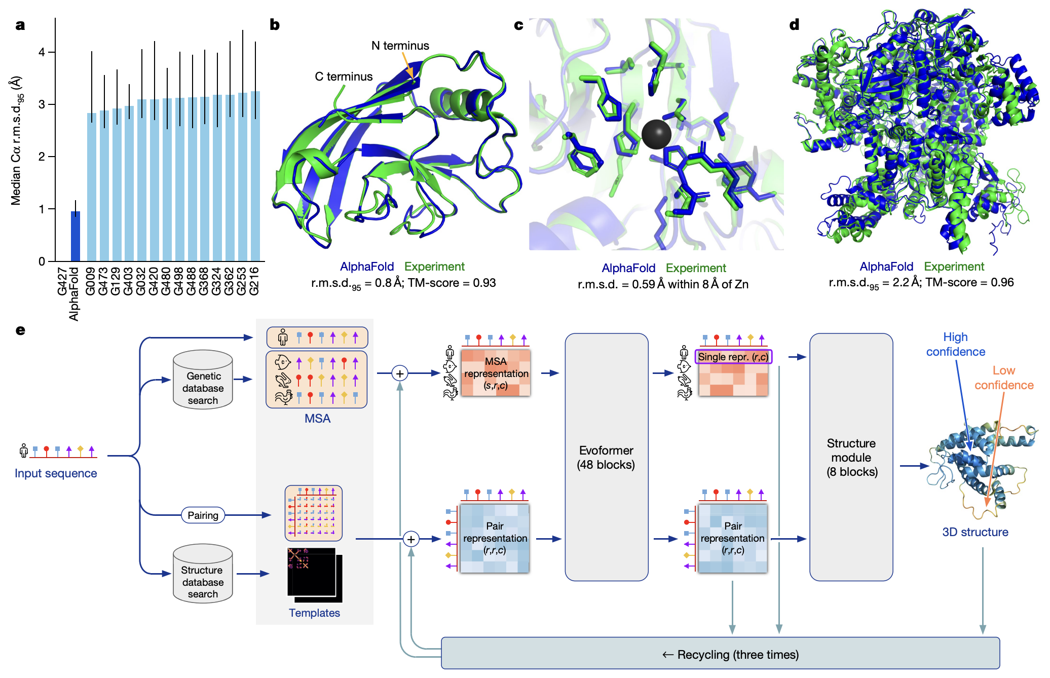 Fig. 1 | AlphaFold produces highly accurate structures. a, The performance of AlphaFold on the CASP14 dataset ($n = 87$ protein domains) relative to the top 15 entries (out of 146 entries), group numbers correspond to the numbers assigned to entrants by CASP. Data are median and the 95% confidence interval of the median, estimated from 10,000 bootstrap samples. b, Our prediction of CASP14 target T1049 (PDB 6Y4F, blue) compared with the true (experimental) structure (green). Four residues in the C terminus of the crystal structure are B-factor outliers and are not depicted. c, CASP14 target T1056 (PDB 6YJ1). An example of a well-predicted zinc-binding site (AlphaFold has accurate side chains even though it does not explicitly predict the zinc ion). d, CASP target T1044 (PDB 6VR4)—a 2,180-residue single chain—was predicted with correct domain packing (the prediction was made after CASP using AlphaFold without intervention). e, Model architecture. Arrows show the information flow among the various components described in this paper. Array shapes are shown in parentheses with $s$, number of sequences ($N_{\text{seq}}$ in the main text); $r$, number of residues ($N_{\text{res}}$ in the main text); $c$, number of channels.