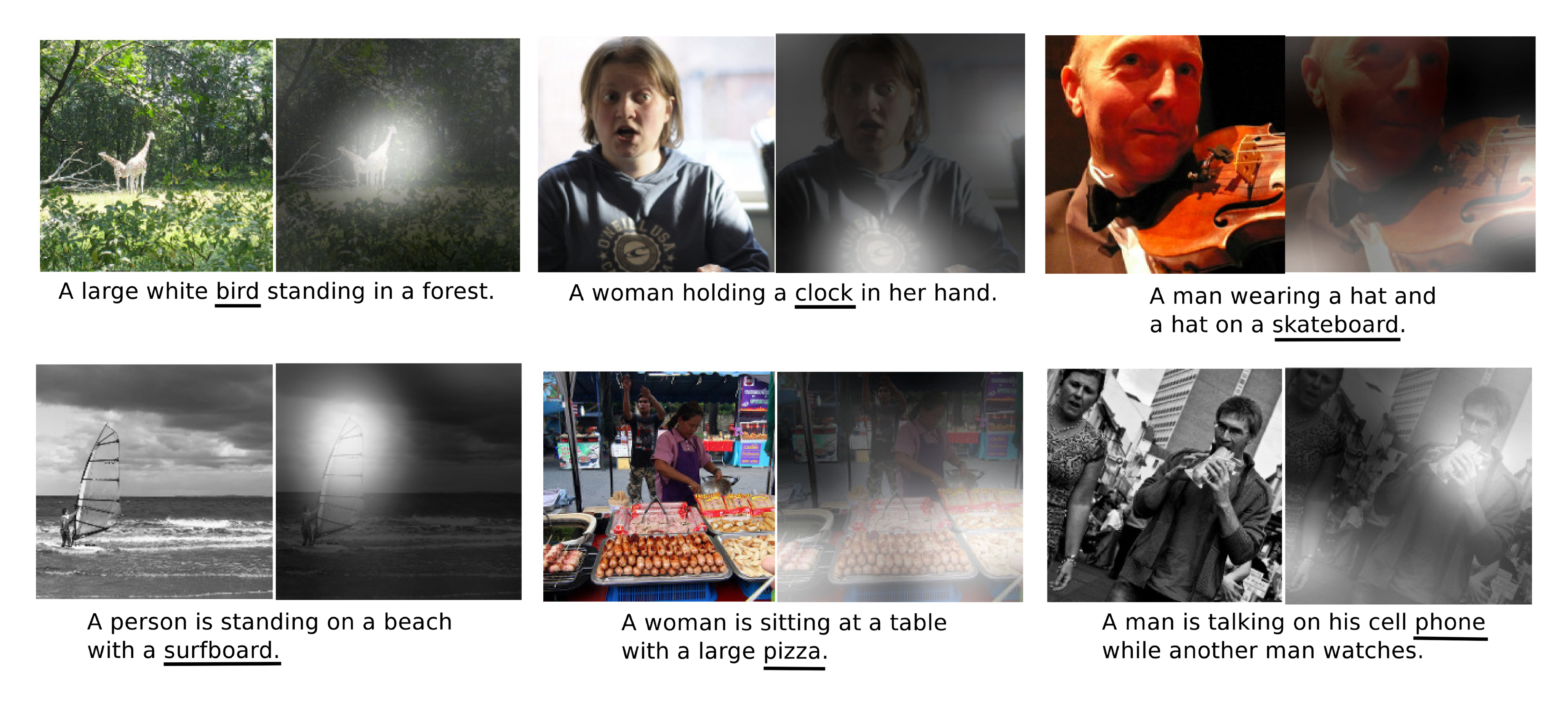 **Figure 5:** Examples of mistakes where we can use attention to gain intuition into what the model saw.