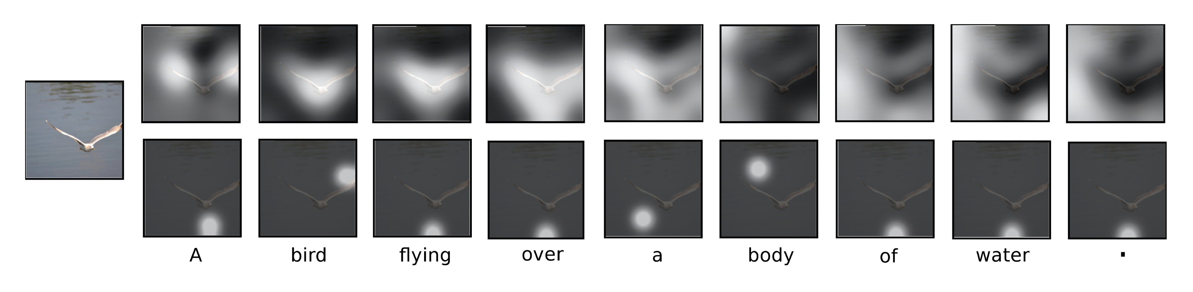 **Figure 2:** Attention over time. As the model generates each word, its attention changes to reflect the relevant parts of the image. "soft" (top row) vs "hard" (bottom row) attention. (Note that both models generated the same captions in this example.)