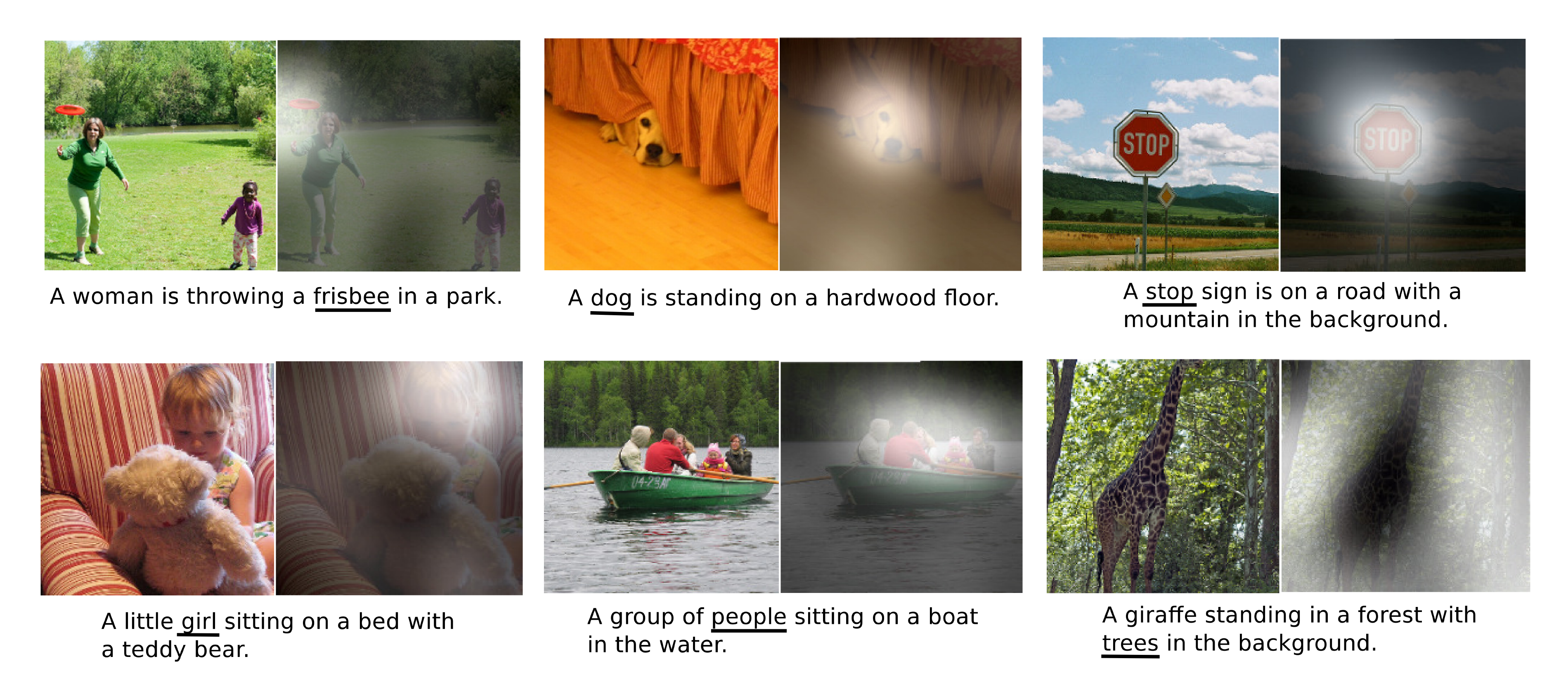 **Figure 3:** Examples of attending to the correct object (*white* indicates the attended regions, *underlines* indicated the corresponding word)