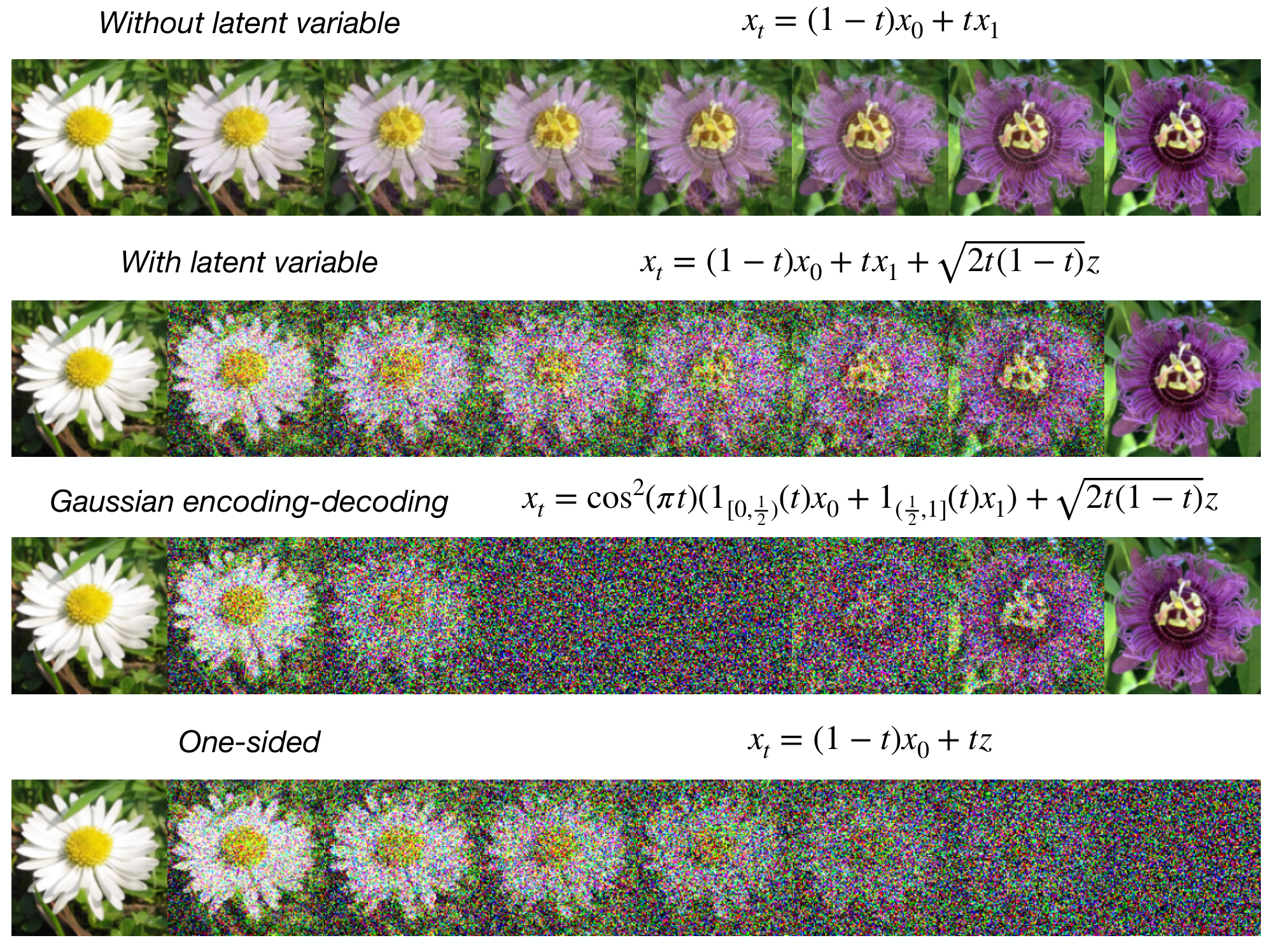 **Figure 2:** **Design flexibility.** An illustration of how stochastic interpolants can be tailored to specific aims. All examples show one realization of $x_t$ with one $x_0\sim\rho_0$, one $x_1\sim \rho_1$ (the flowers at the left and right of the figures), and one $z\sim {\sf N}(0, \text{\it Id})$. *Top, Upper middle, and lower middle*: various interpolants, ranging from direct interpolation with no latent variable (as in [1]) to Gaussian encoding-decoding in which the data transitions to pure noise at the mid-point. *Bottom*: one-sided interpolant, which connects with score-based diffusion methods.