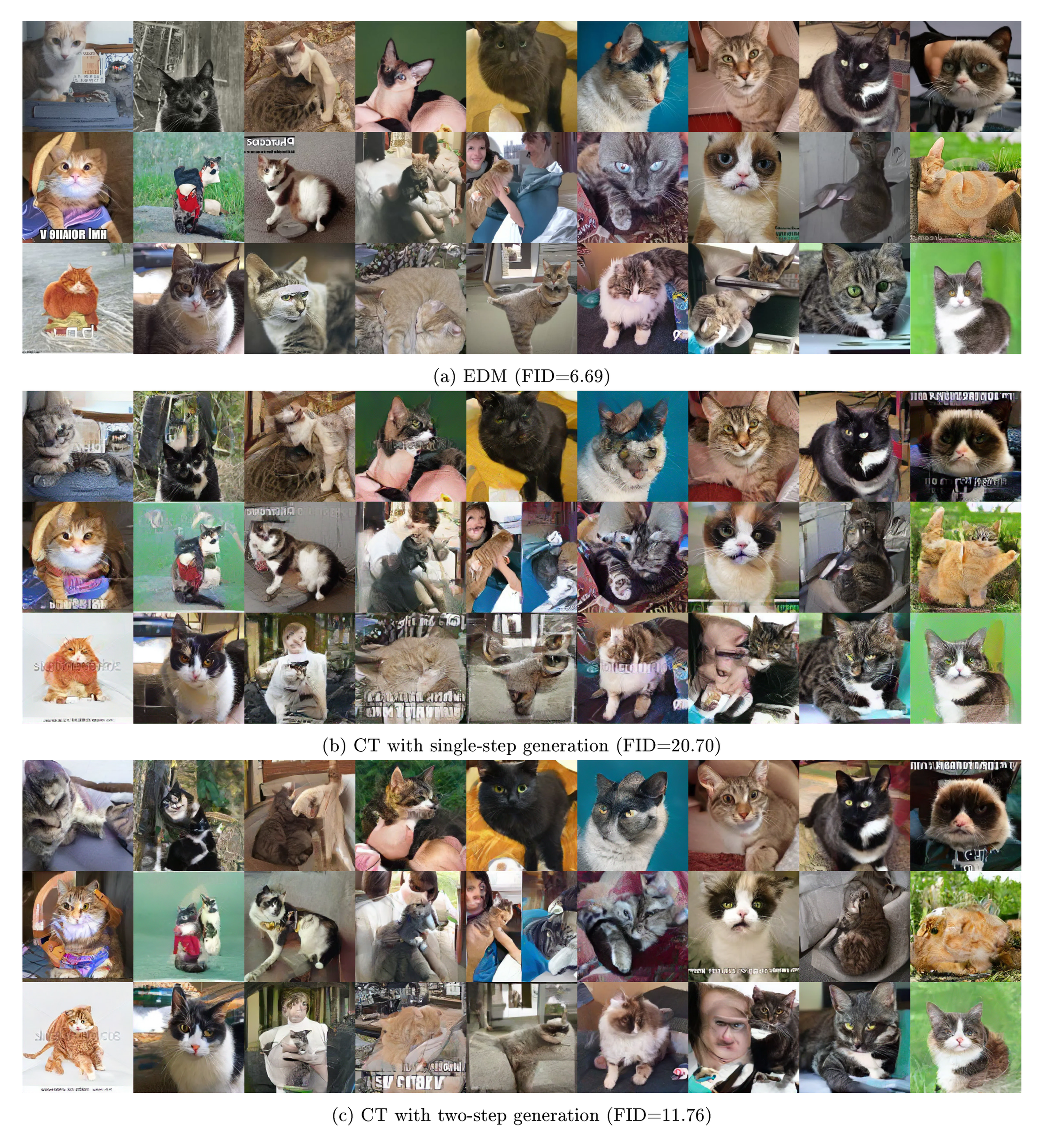**Figure 21:** Uncurated samples from LSUN Cat $256\times 256$. All corresponding samples use the same initial noise.