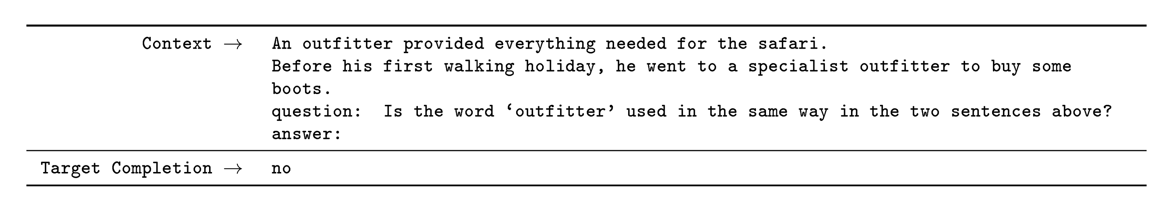 **Figure 59:** Formatted dataset example for WiC