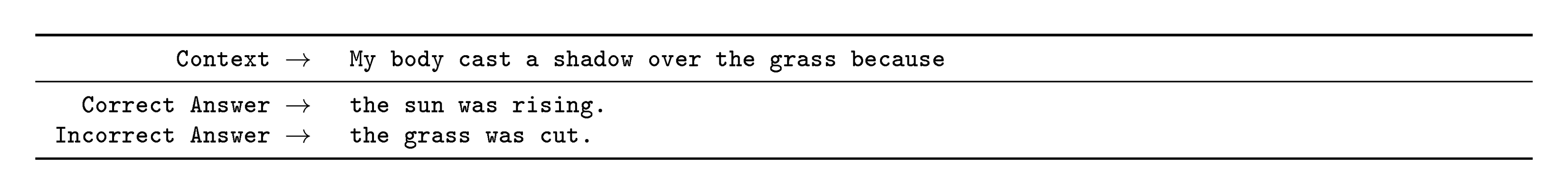 **Figure 32:** Formatted dataset example for COPA