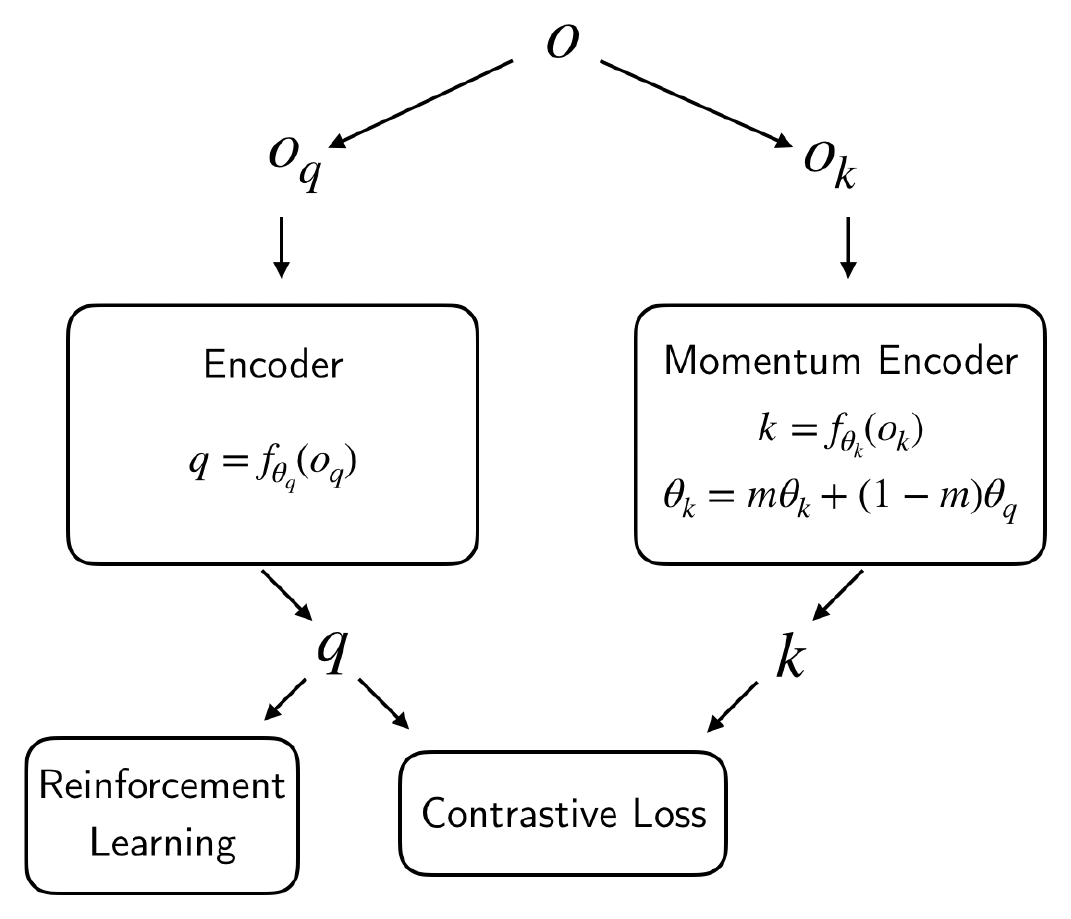 **Figure 1:** **C**ontrastive **U**nsupervised Representations for **R**einforcement **L**earning (CURL) combines instance contrastive learning and reinforcement learning. CURL trains a visual representation encoder by ensuring that the embeddings of data-augmented versions $o_q$ and $o_k$ of observation $o$ match using a contrastive loss. The *query* observations $o_q$ are treated as the anchor while the *key* observations $o_k$ contain the positive and negatives, all constructed from the minibatch sampled for the RL update. The keys are encoded with a momentum averaged version of the query encoder. The RL policy and (or) value function are built on top of the query encoder which is jointly trained with the contrastive and reinforcement learning objectives. CURL is a generic framework that can be plugged into any RL algorithm that relies on learning representations from high dimensional images.
