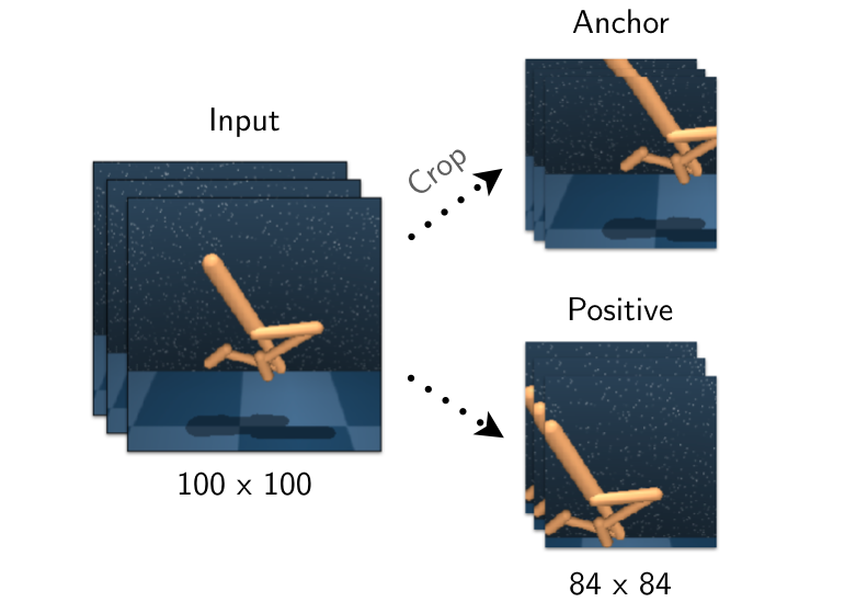 **Figure 3:** Visually illustrating the process of generating an anchor and its positive using stochastic random crops. Our aspect ratio for cropping is 0.84, i.e, we crop a $84 \times 84$ image from a $100 \times 100$ simulation-rendered image. Applying the same random crop coordinates across all frames in the stack ensures time-consistent spatial jittering.