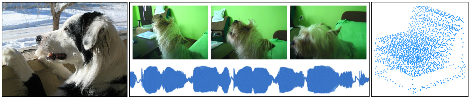 **Figure 2:** We train the Perceiver architecture on images from ImageNet [14] (left), video and audio from AudioSet [15] (considered both multi- and uni-modally) (center), and 3D point clouds from ModelNet40 [16] (right). Essentially no architectural changes are required to use the model on a diverse range of input data.