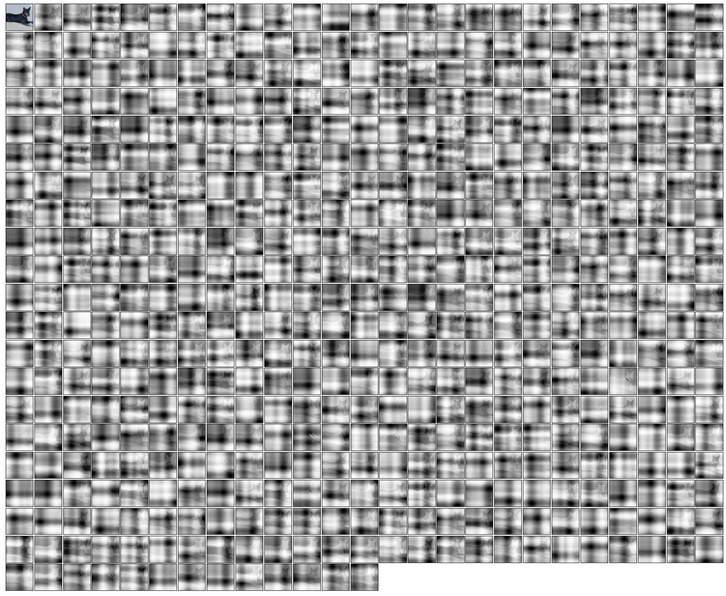 **Figure 7:** Example attention maps from the **first cross-attend** of an ImageNet network trained with **2D Fourier feature** position encodings.