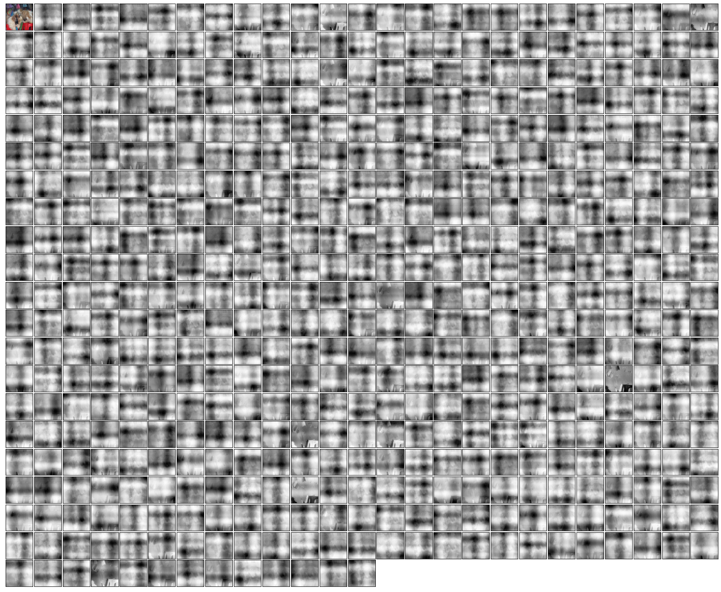 **Figure 9:** Example attention maps from the **first cross-attend** of an ImageNet network trained with **2D Fourier feature** position encodings.