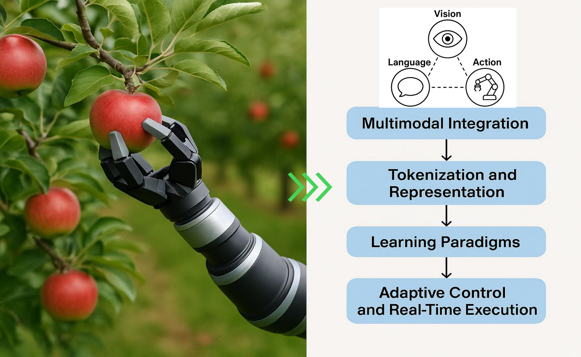 **Figure 5:** **Foundational Concept of VLA Models (in an Apple-Picking Scenario)** This illustration depicts a robotic arm autonomously picking a ripe apple in an orchard, guided by a VLA model. On the right, a flowchart outlines the four key stages of VLA models: Multimodal Integration, Tokenization and Representation, Learning Paradigms, and Adaptive Control and Real-Time Execution.