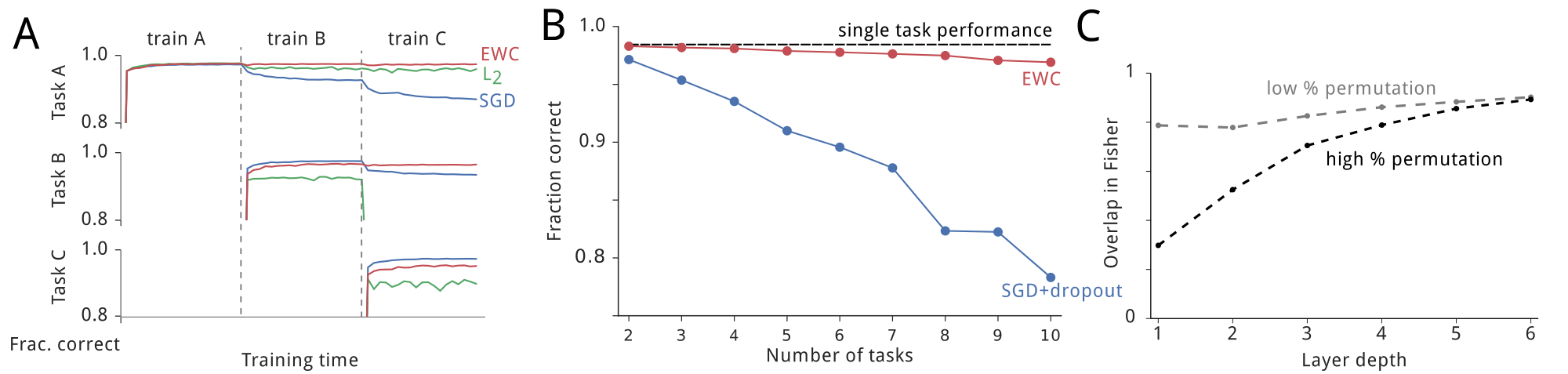 **Figure 2:** Results on the permuted MNIST task. A: Training curves for three random permutations A, B and C using EWC(red), $L_2$ regularization (green) and plain SGD(blue). Note that only EWC is capable of mantaining a high performance on old tasks, while retaining the ability to learn new tasks. B: Average performance across all tasks using EWC (red) or SGD with dropout regularization (blue). The dashed line shows the performance on a single task only. C: Similarity between the Fisher information matrices as a function of network depth for two different amounts of permutation. Either a small square of 8x8 pixels in the middle of the image is permuted (grey) or a large square of 26x26 pixels is permuted (black). Note how the more different the tasks are, the smaller the overlap in Fisher information matrices in early layers.