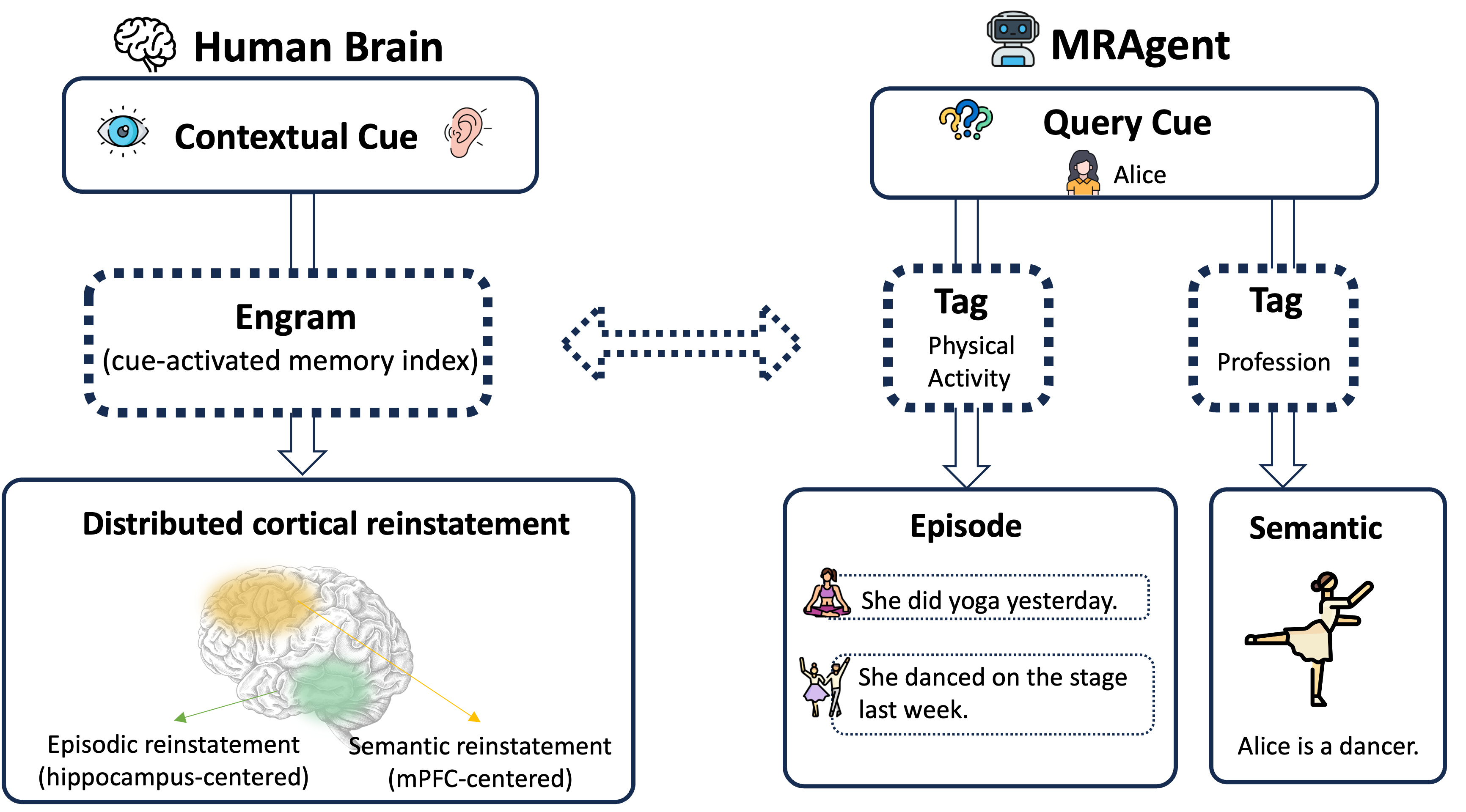 **Figure 3:** Functional correspondence between human memory reconstruction and the MRAgent architecture.