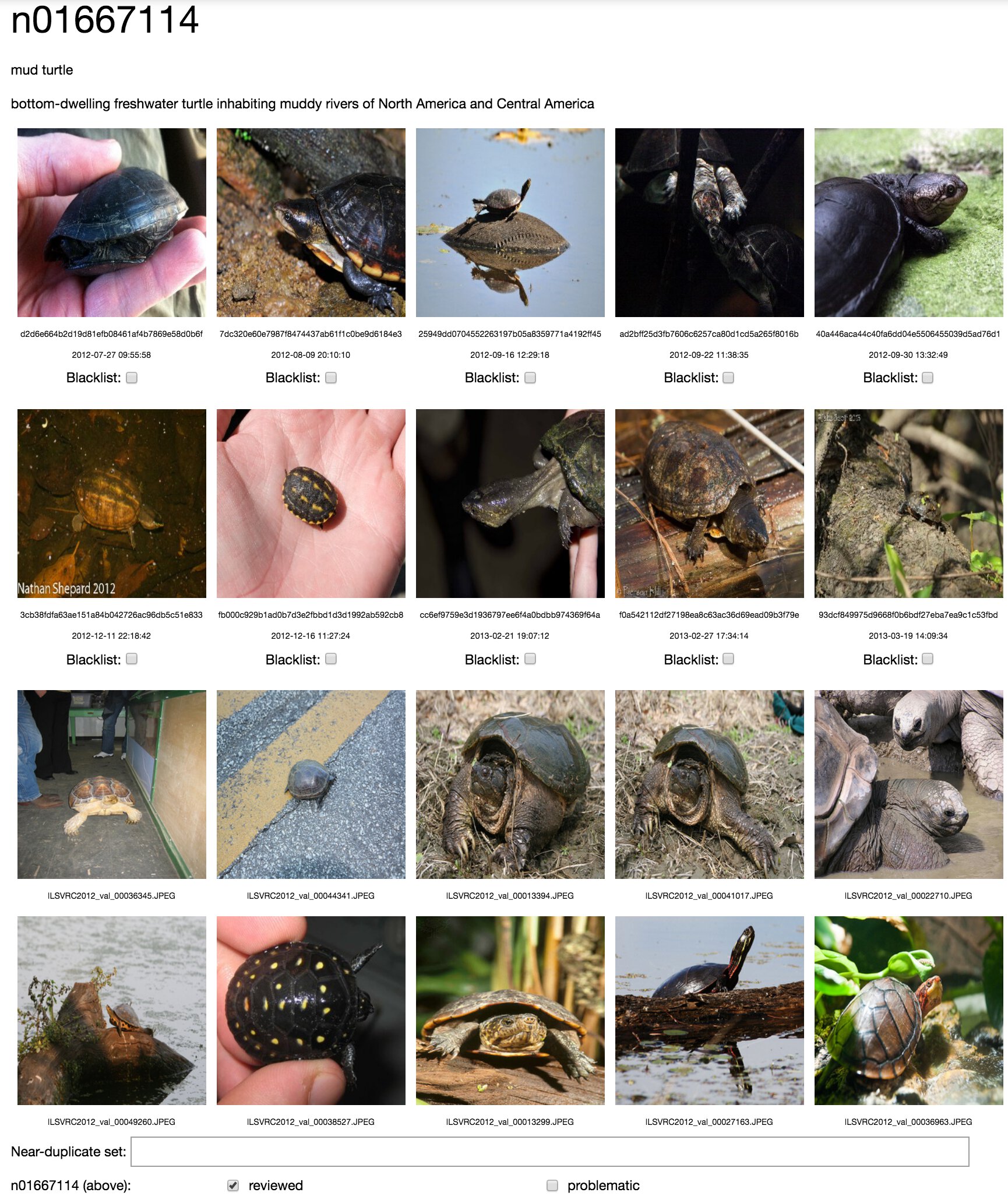 **Figure 11:** The user interface we built to review dataset revisions and remove incorrect or near duplicate images. This user interface was not used for MTurk but only in the final dataset review step conducted by the authors of this paper.