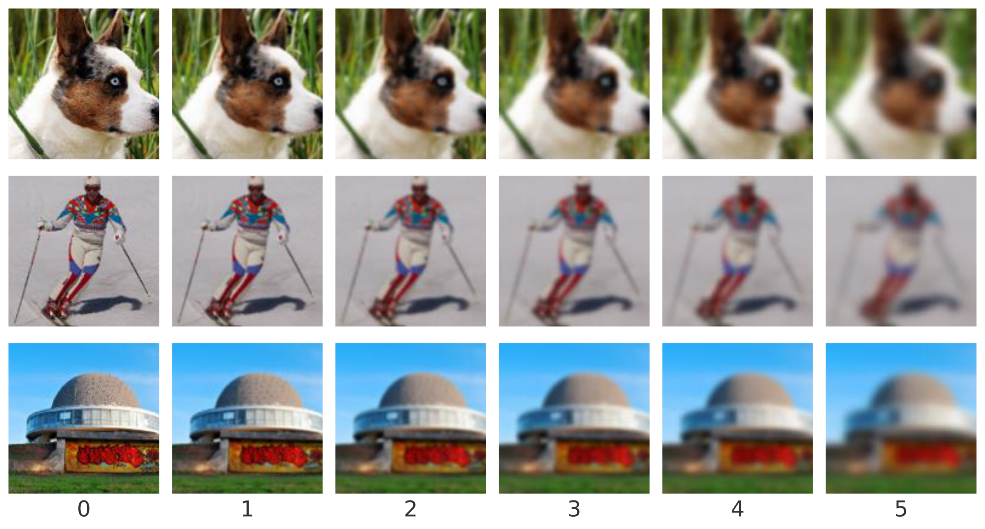 **Figure 7:** Examples of ImageNet images corrupted by Gaussian blur, at intensities of 0 (uncorrupted image) through 5 (maximum corruption included in ImageNet-C).