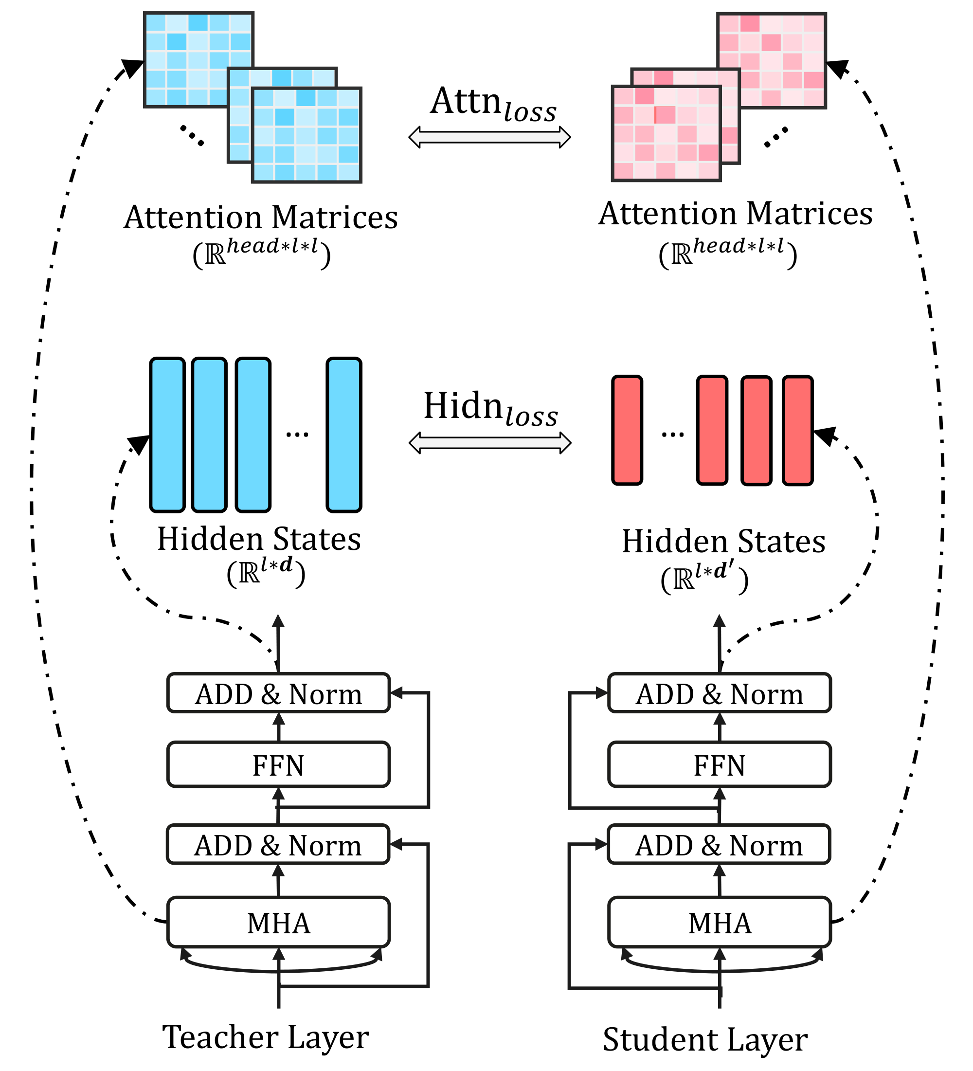 **Figure 2:** The details of Transformer-layer distillation consisting of Attn$_{loss}$(attention based distillation) and Hidn$_{loss}$(hidden states based distillation).