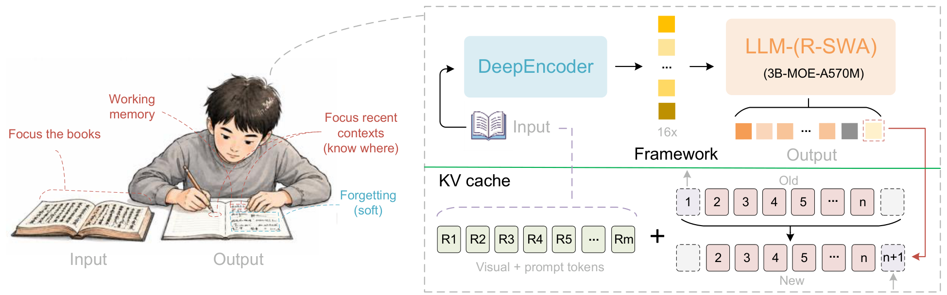 **Figure 2:** Inspired by the process of humans copying books, we propose the Unlimited OCR. This model features a unified end-to-end architecture, consisting of an encoder and a MoE-LLM decoder in which all attention mechanisms are R-SWA. The KV cache is implemented as a queue with a capacity of $m+n$ —each time a new token is generated, the KV corresponding to the $(m+1)$-th token in the queue is evicted, ensuring that both computational cost and memory usage do not progressively increase during the generation process.