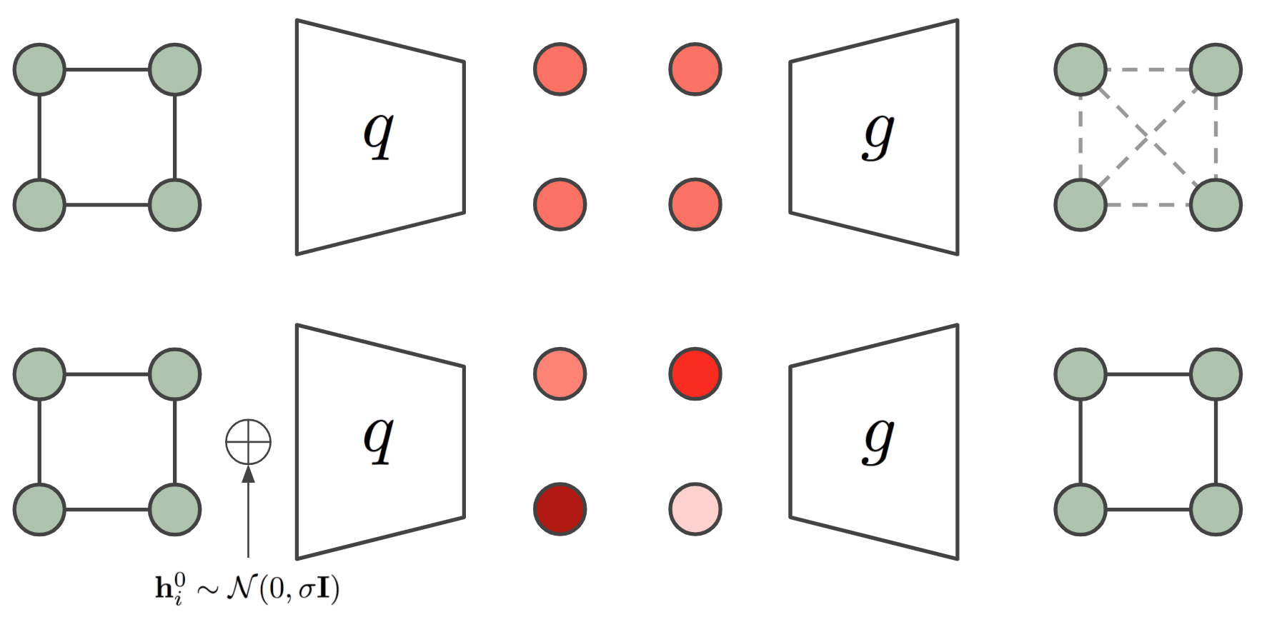 **Figure 3:** Visual representation of a Graph Autoencoder for a 4 nodes cycle graph. The bottom row illustrates that adding noise at the input graph breaks the symmetry of the embedding allowing the reconstruction of the adjacency matrix.