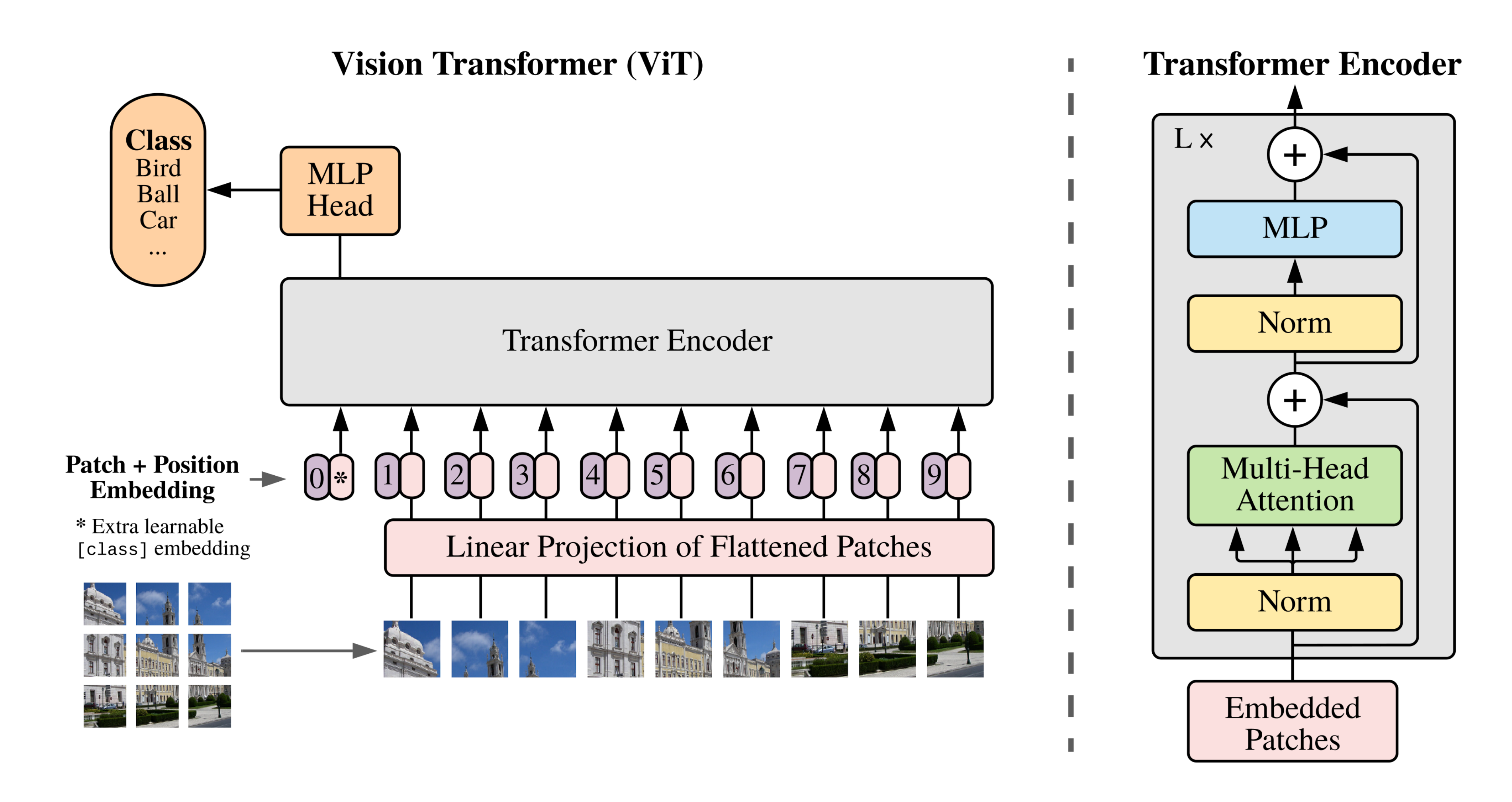 **Figure 1:** Model overview. We split an image into fixed-size patches, linearly embed each of them, add position embeddings, and feed the resulting sequence of vectors to a standard Transformer encoder. In order to perform classification, we use the standard approach of adding an extra learnable "classification token" to the sequence. The illustration of the Transformer encoder was inspired by [1].