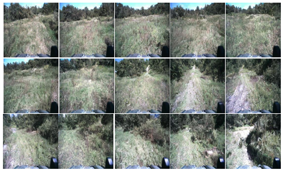 **Figure 14:** **Video generation examples on Tartan Drive**. NWM is conditioned on a single first image, and a ground truth trajectory and autoregressively predicts the next up to $16$ seconds at $4$ FPS. We plot the generated results from $2$ to $16$ seconds, every 1 second.