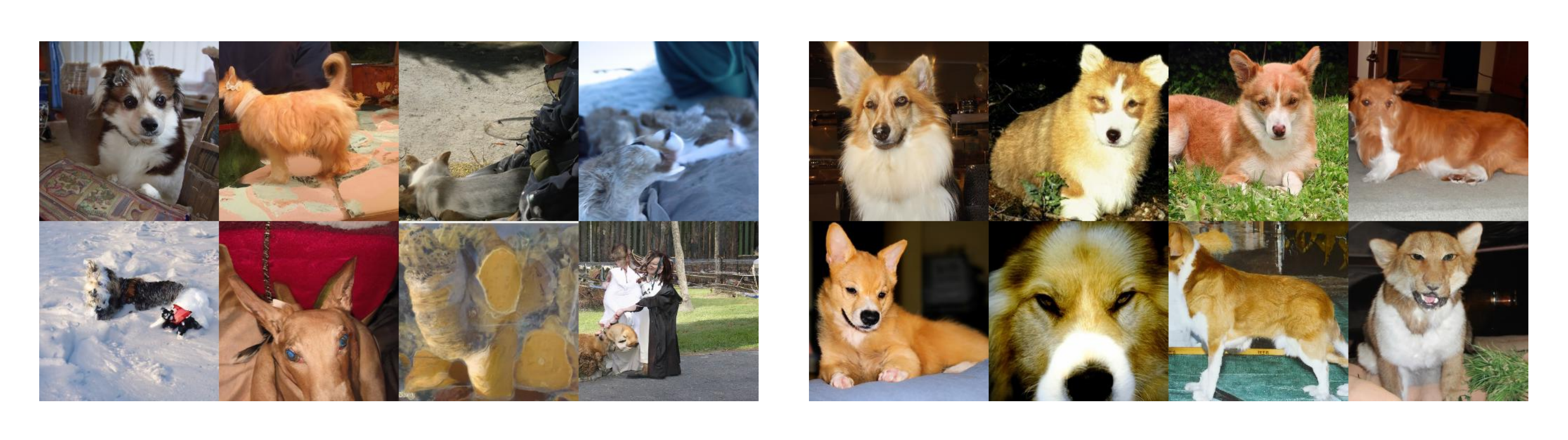 **Figure 3:** Samples from an unconditional diffusion model with classifier guidance to condition on the class "Pembroke Welsh corgi". Using classifier scale 1.0 (left; FID: 33.0) does not produce convincing samples in this class, whereas classifier scale 10.0 (right; FID: 12.0) produces much more class-consistent images.