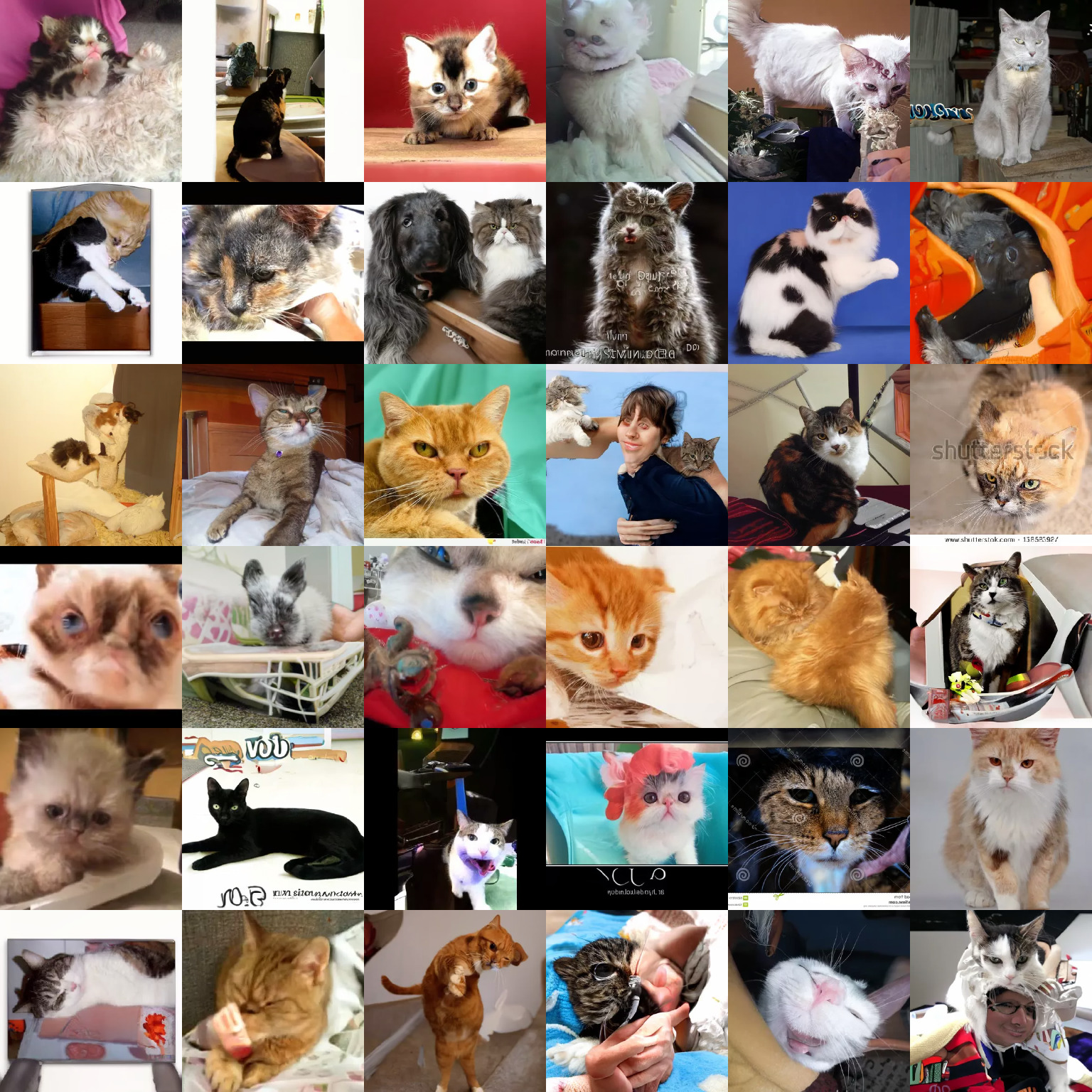 **Figure 32:** Random samples from our LSUN cat model using 1000 sampling steps. (FID 5.57)