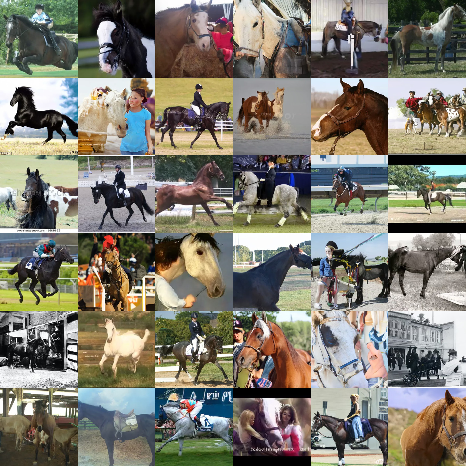 **Figure 31:** Random samples from our LSUN horse model using 1000 sampling steps. (FID 2.57)