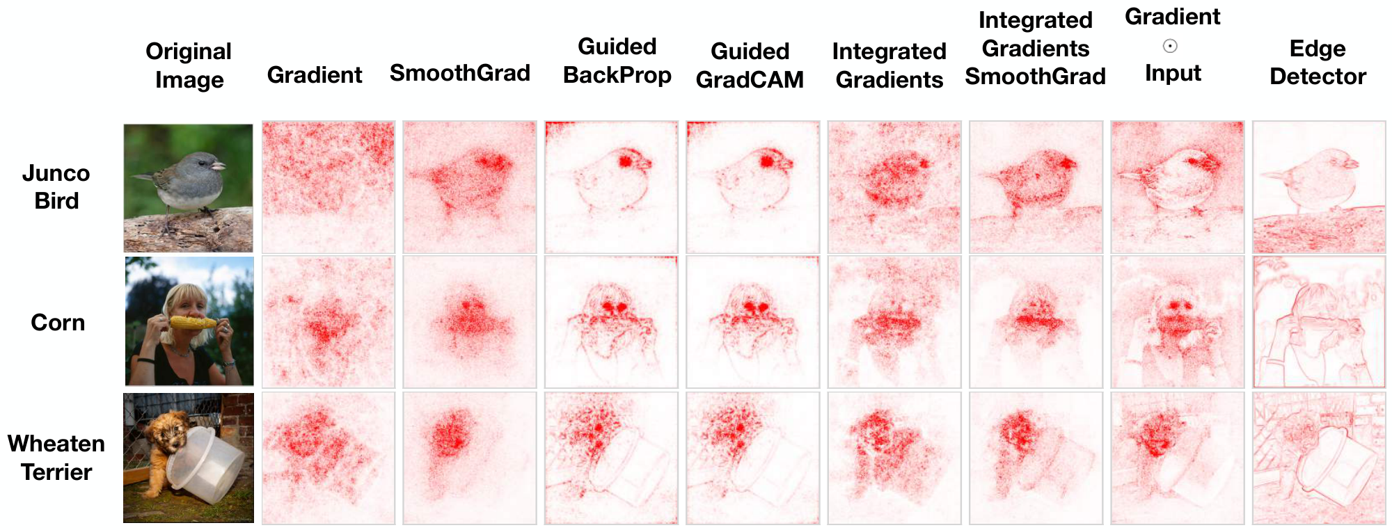 **Figure 1:** **Saliency maps for some common methods compared to an edge detector.** Saliency masks for $3$ different inputs for an Inception v3 model trained on ImageNet. We see that an edge detector produces outputs that are strikingly similar to the outputs of some saliency methods. In fact, edge detectors can also produce masks that highlight features which coincide with what appears to be relevant to a model's class prediction. Interestingly, we find that the methods that are most similar to an edge detector, i.e., Guided Backprop and its variants, show minimal sensitivity to our randomization tests.
