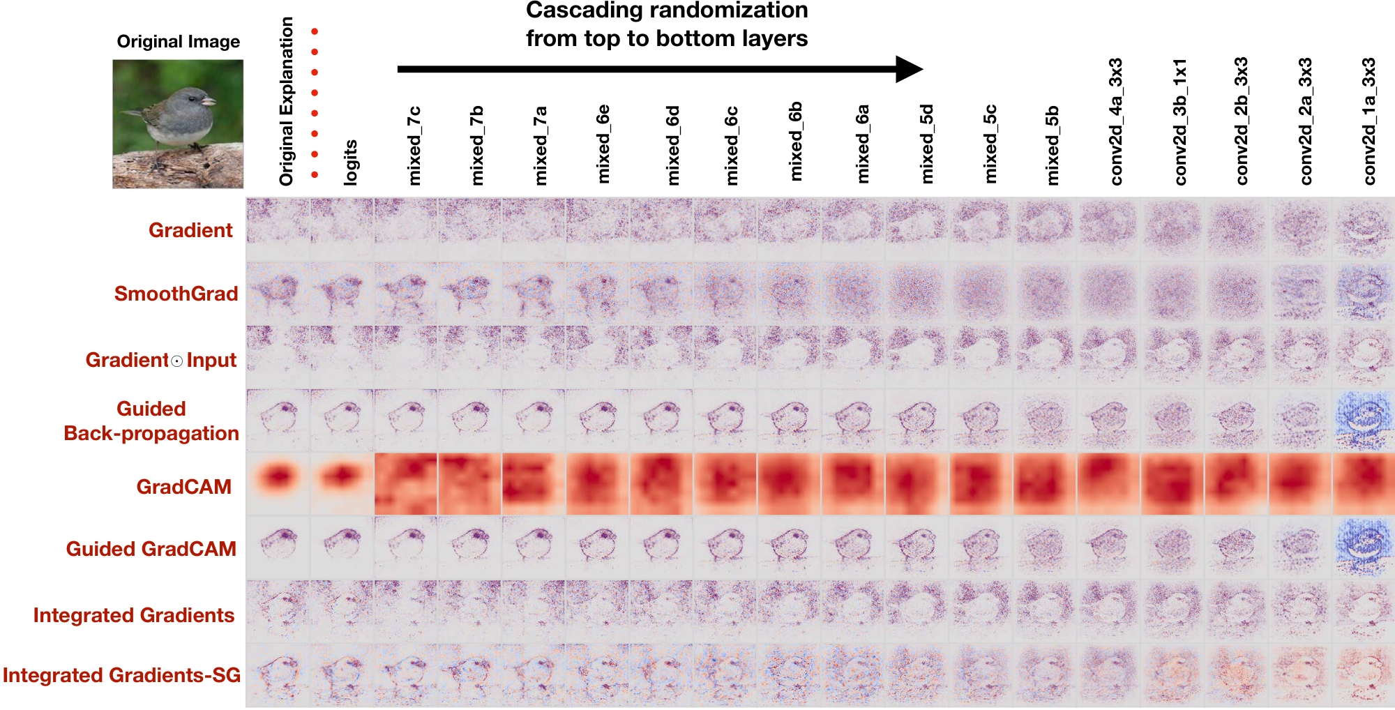 **Figure 2:** **Cascading randomization on Inception v3 (ImageNet).** Figure shows the original explanations (first column) for the Junco bird as well as the label for each explanation type. Progression from left to right indicates complete randomization of network weights (and other trainable variables) up to that 'block' inclusive. We show images for 17 blocks of randomization. Coordinate (Gradient, mixed_7b) shows the gradient explanation for the network in which the top layers starting from Logits up to mixed_7b have been reinitialized. The last column corresponds to a network with completely reinitialized weights. See Appendix for more examples.
