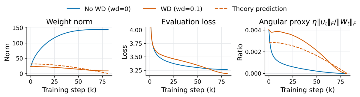 **Figure 11:** Weight decay versus no weight decay under the same learning rate schedule. Without weight decay, the weight norm grows and the angular proxy decays. With weight decay, the run maintains a larger late angular proxy and crosses over to a lower validation loss. The dashed curve is the theory prediction for the WD angular proxy.