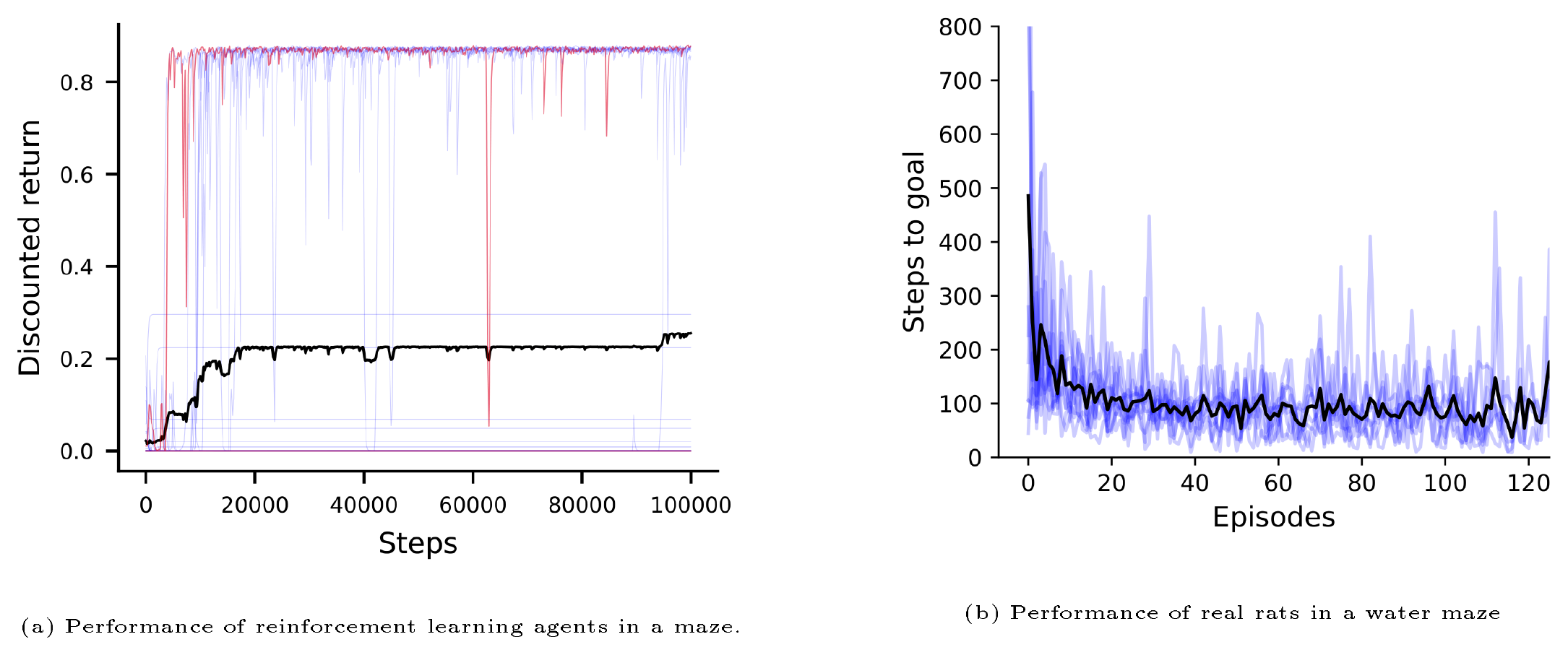 **Figure 3:** Understanding variability in agents. **(a)** 30 individual E-Sarsa agents on a simple, tabular maze environment. The thick black line shows the mean over individual agents over time. **(b)** Raw data from 10 rats running a water maze.