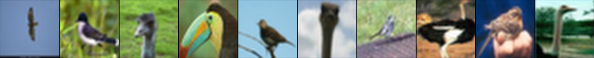 **Figure 3:** Ten examples of the class "bird" from the CIFAR-10 test set illustrating the variety of types of bird, viewpoint, lighting and background. The neural net gets all but the last two examples correct.
