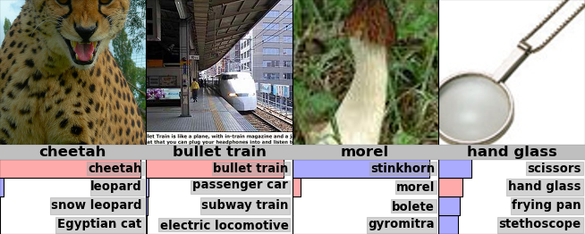 **Figure 4:** Some Imagenet test cases with the probabilities of the best 5 labels underneath. Many of the top 5 labels are quite plausible.