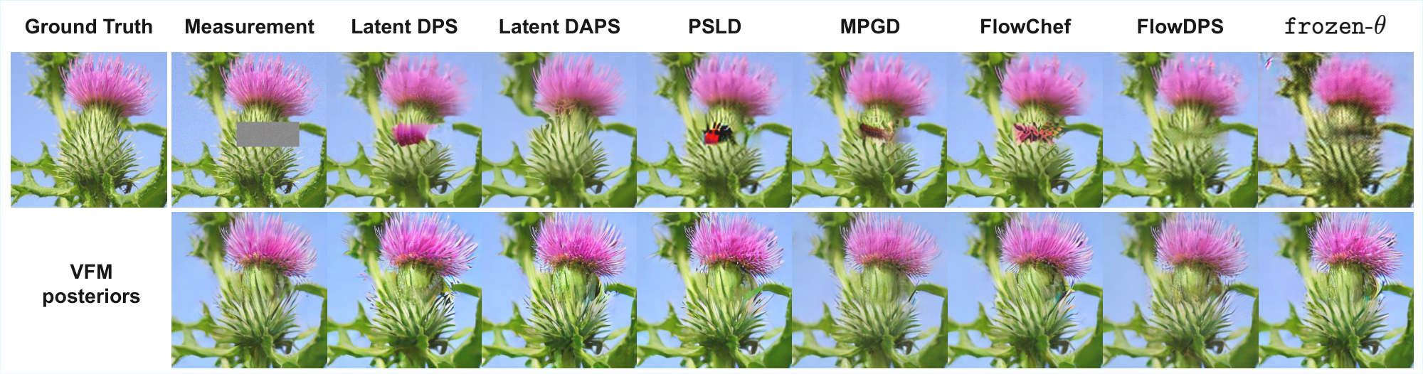 **Figure 32:** **Posterior Diversity (Sample Set 2).** Additional examples of diverse posterior sampling on box inpainting task. The high variance among the VFM samples reflects the multimodal nature of the posterior distribution for these ill-posed tasks.