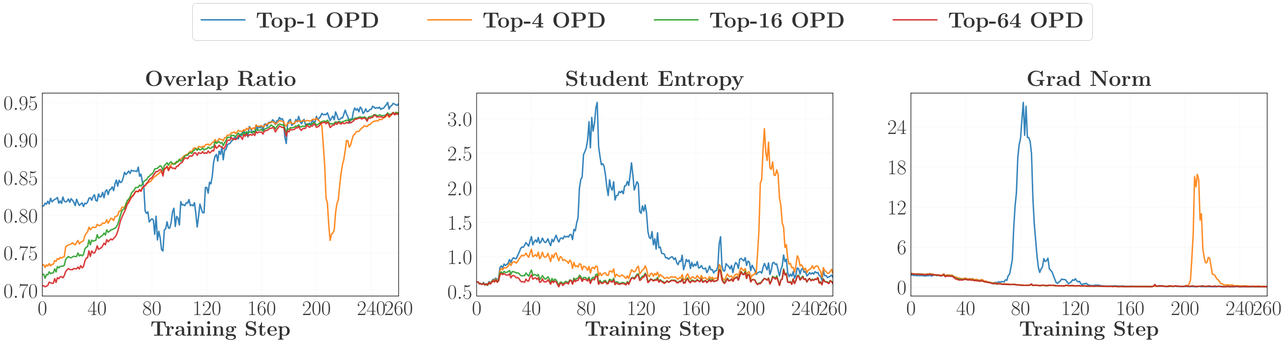 **Figure 15:** Training dynamics under different support sizes $k$ for Top- $k$ OPD.