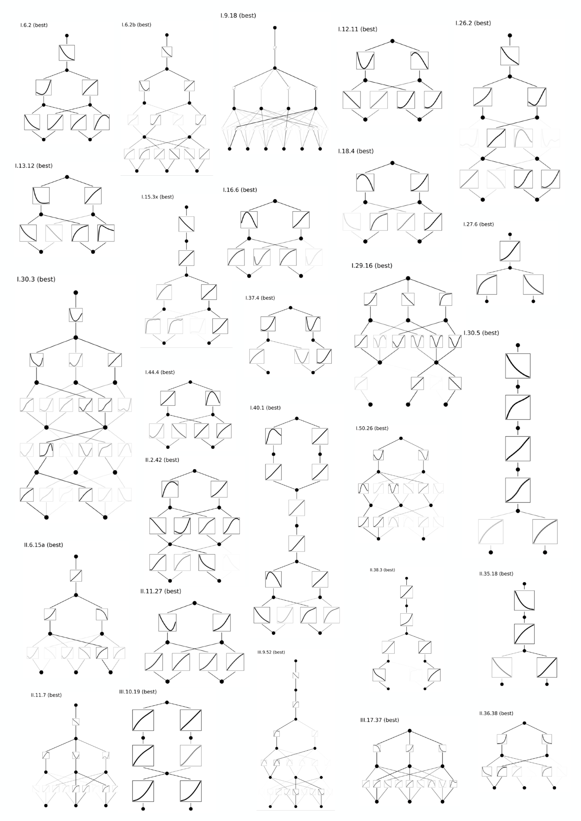 **Figure 22:** Best Feynman KANs