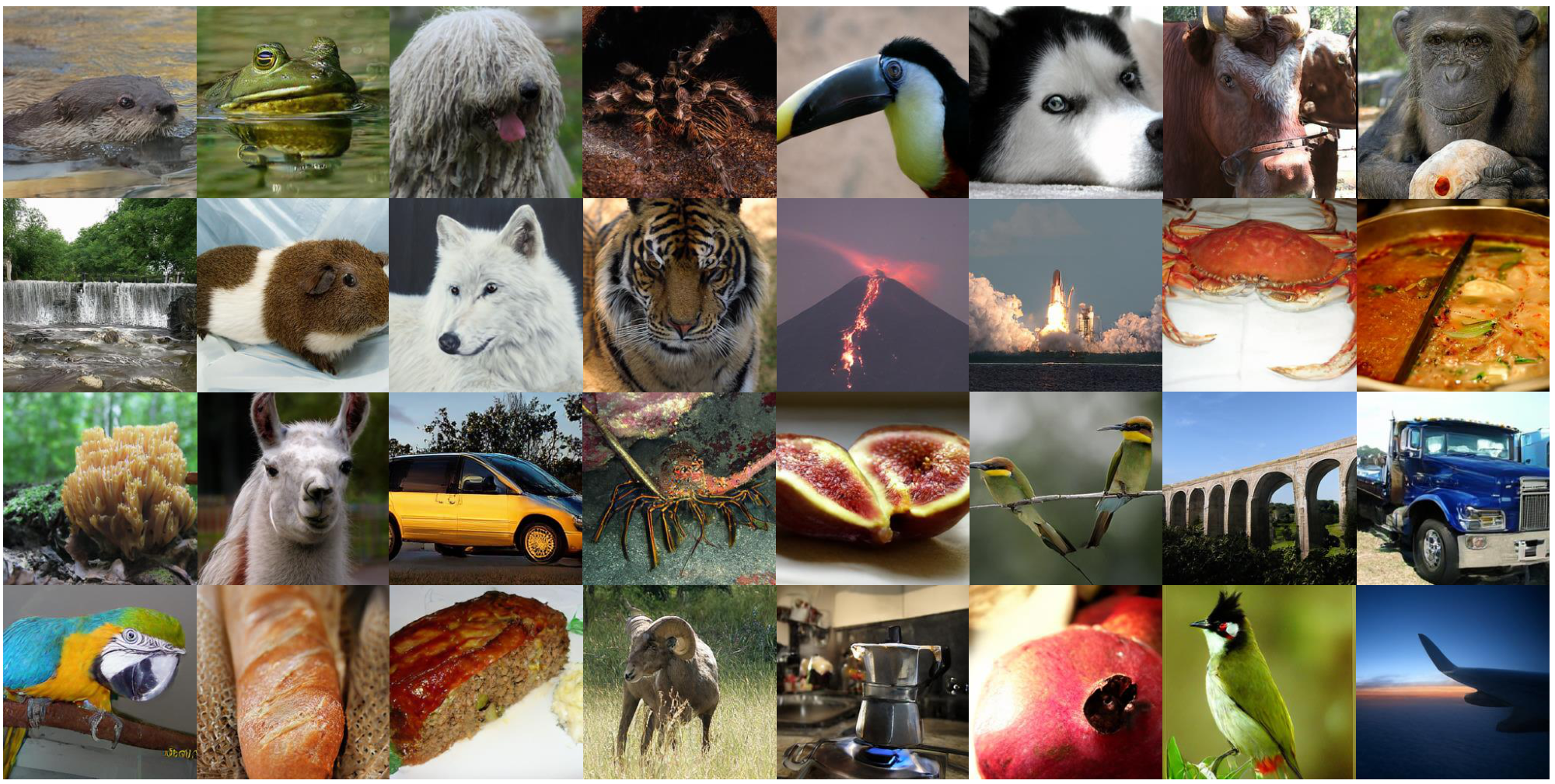 **Figure 7:** Additional selected samples from 256 $\times$ 256 diffusion models on MAETok. We use a classifier-free guidance scale of 2.0.