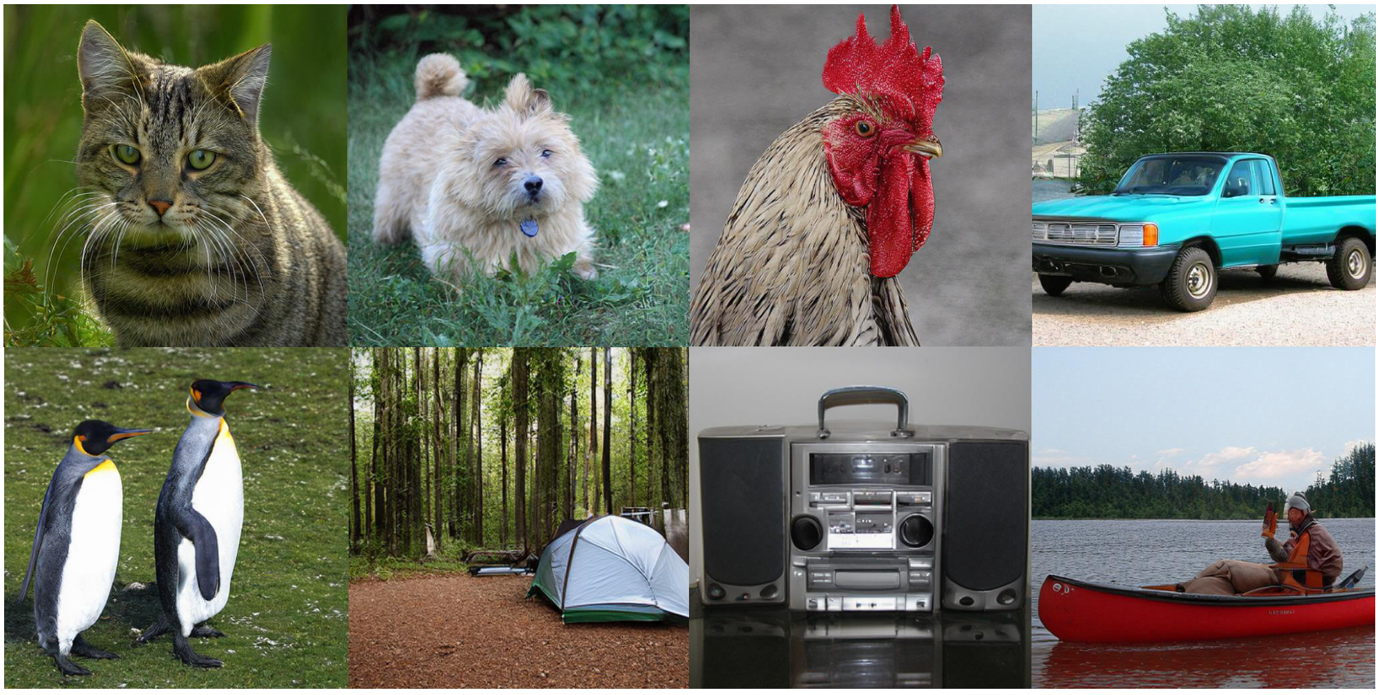 **Figure 6:** Additional selected samples from 512 $\times$ 512 SiT-XL model on MAETok. We use a classifier-free guidance scale of 2.0.