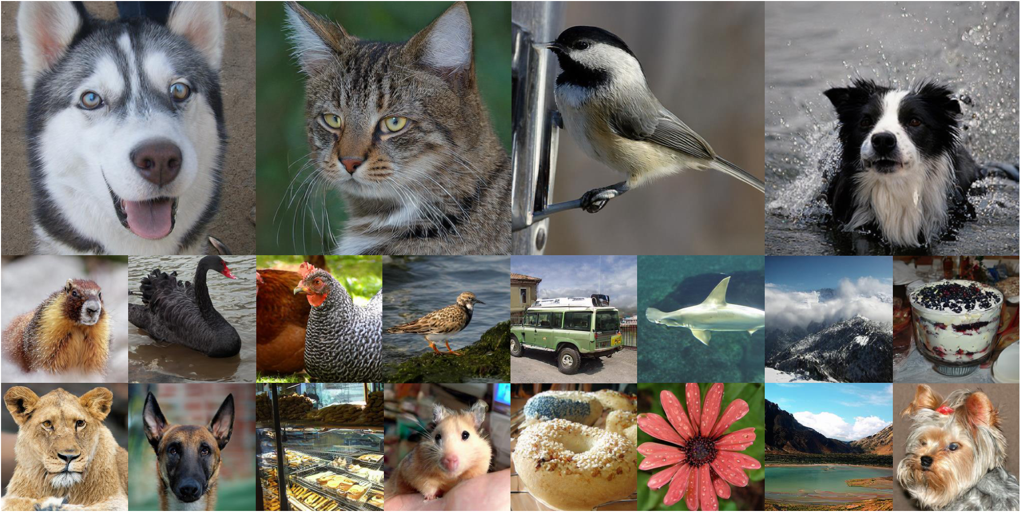 **Figure 1:** Diffusion models with MAETok achieves state-of-the-art image generation on ImageNet of 512 $\times$ 512 and 256 $\times$ 256 resolution.